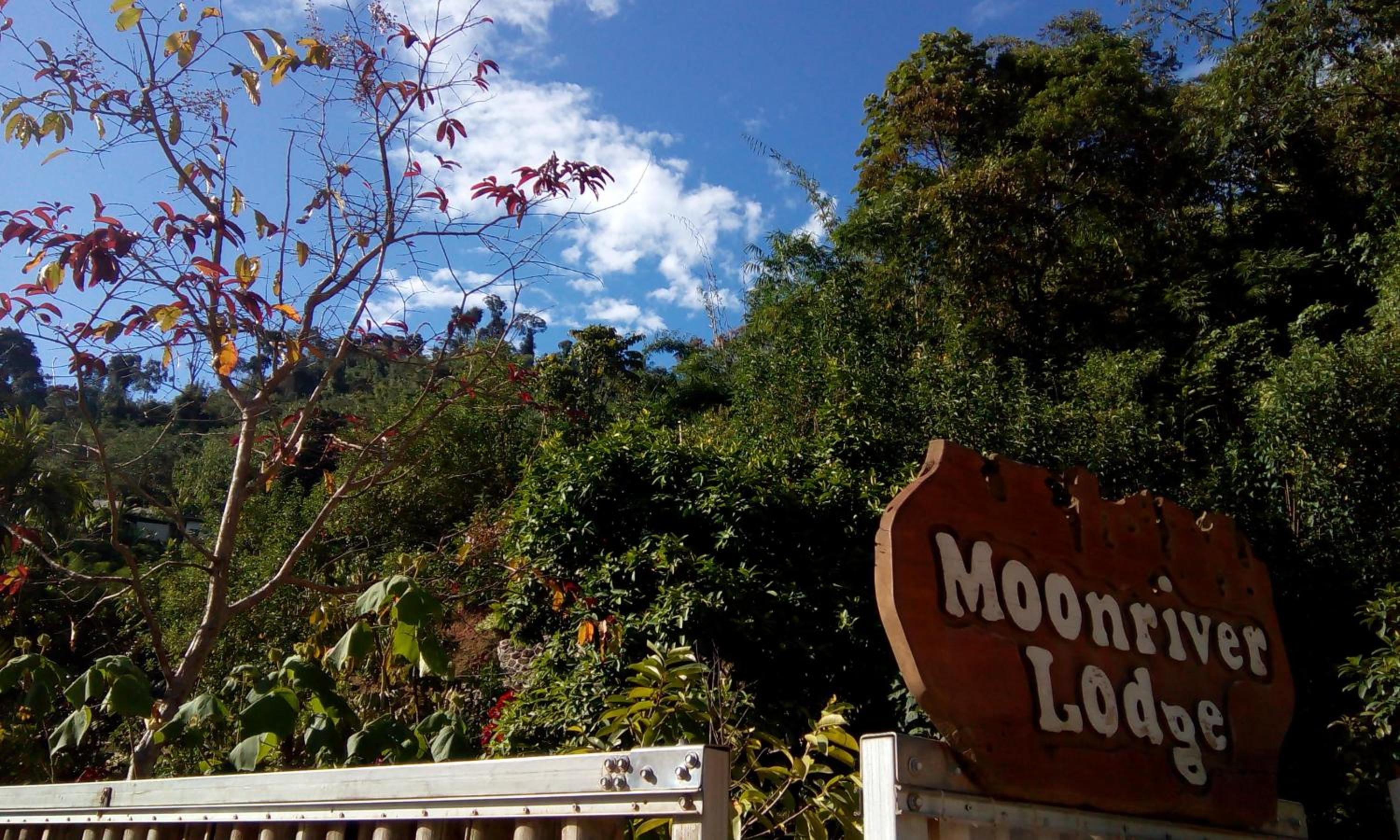 Moonriver Lodge