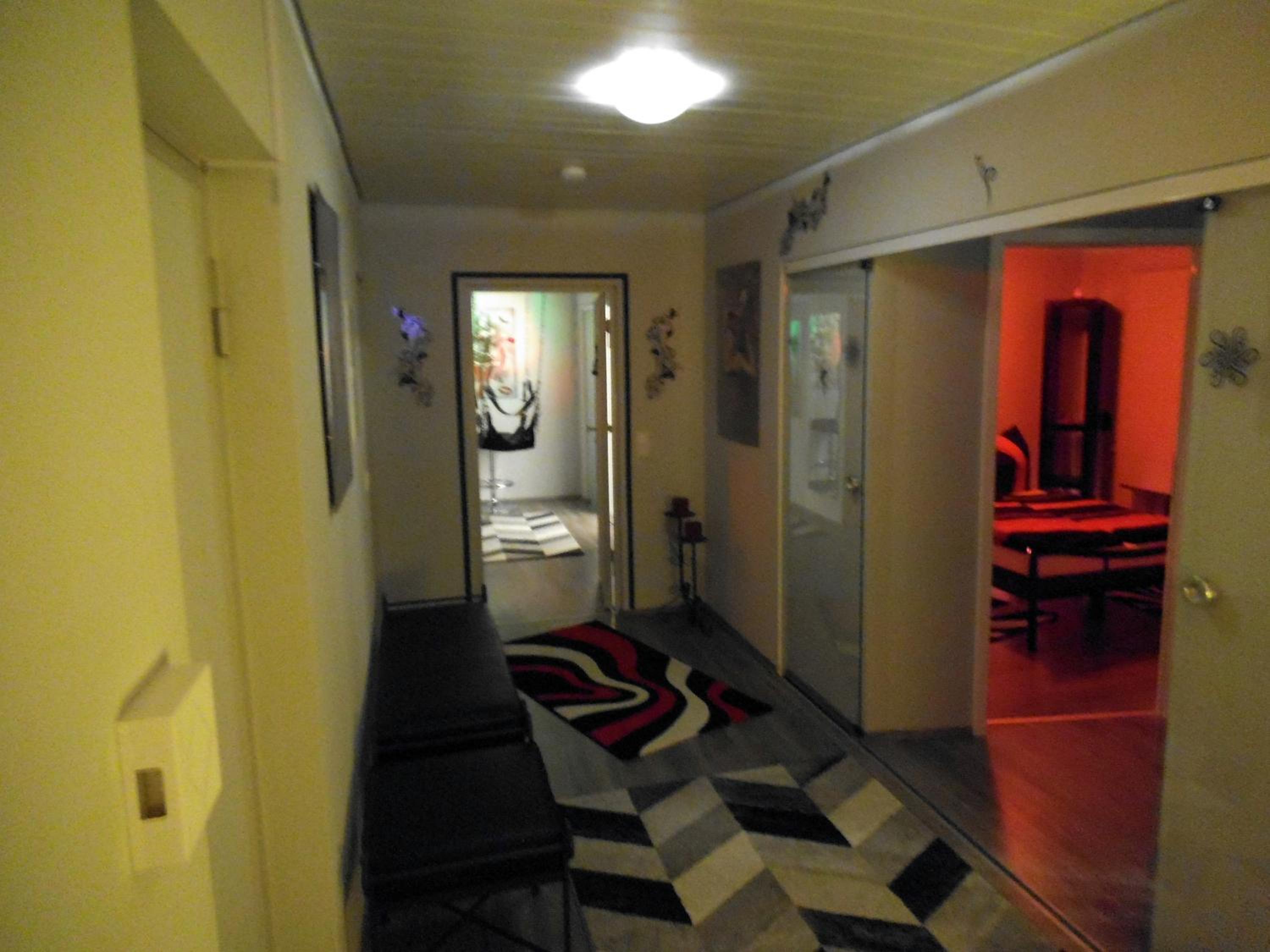 Exclusiv-Mietapartment (BDSM)-Heidelberg view 3