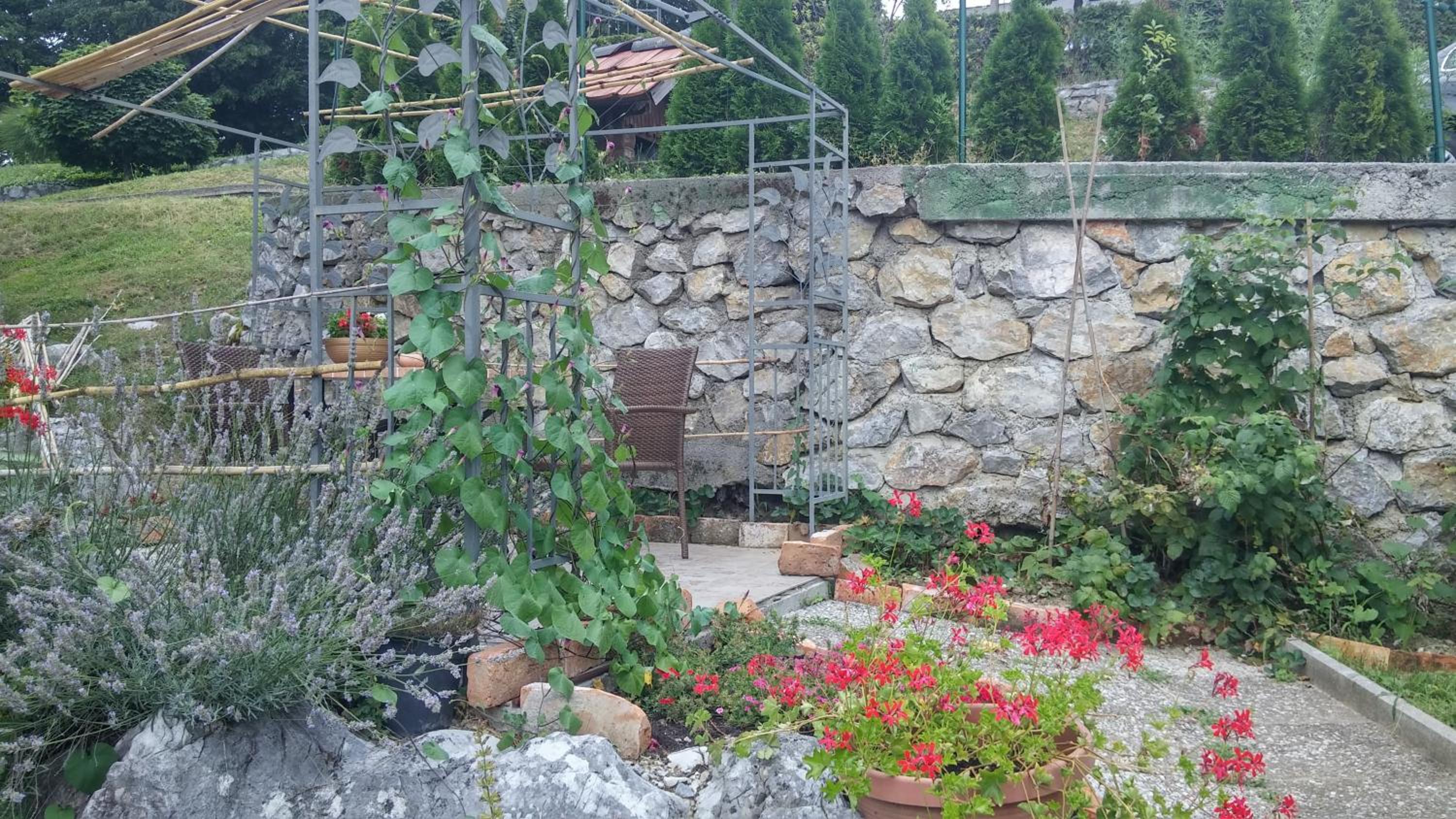 Darja Guesthouse