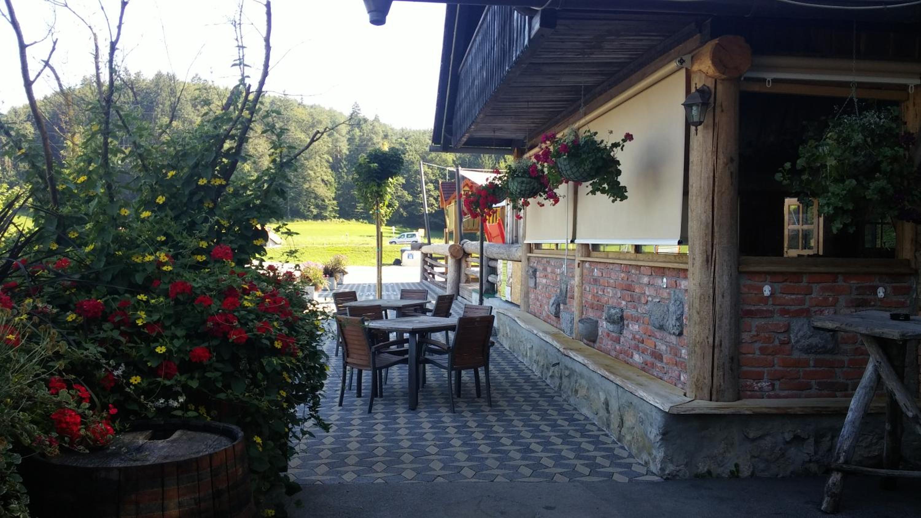 Darja Guesthouse