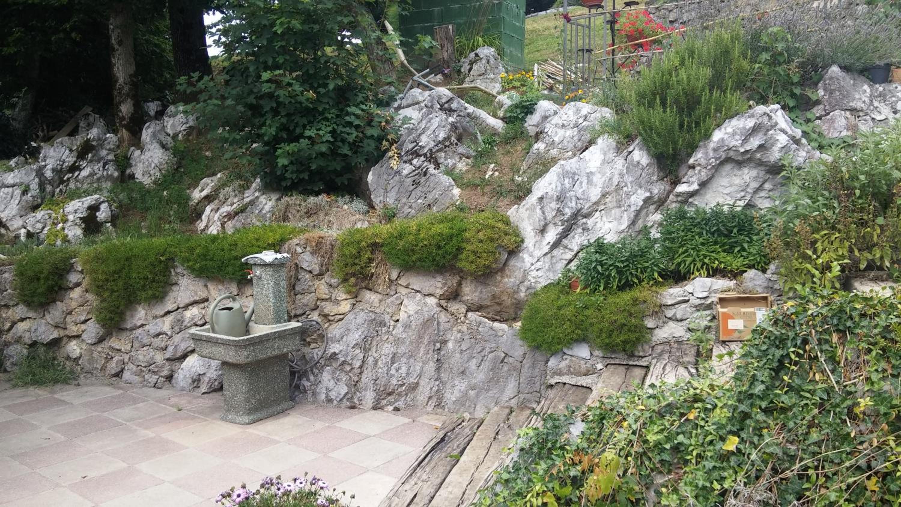 Darja Guesthouse