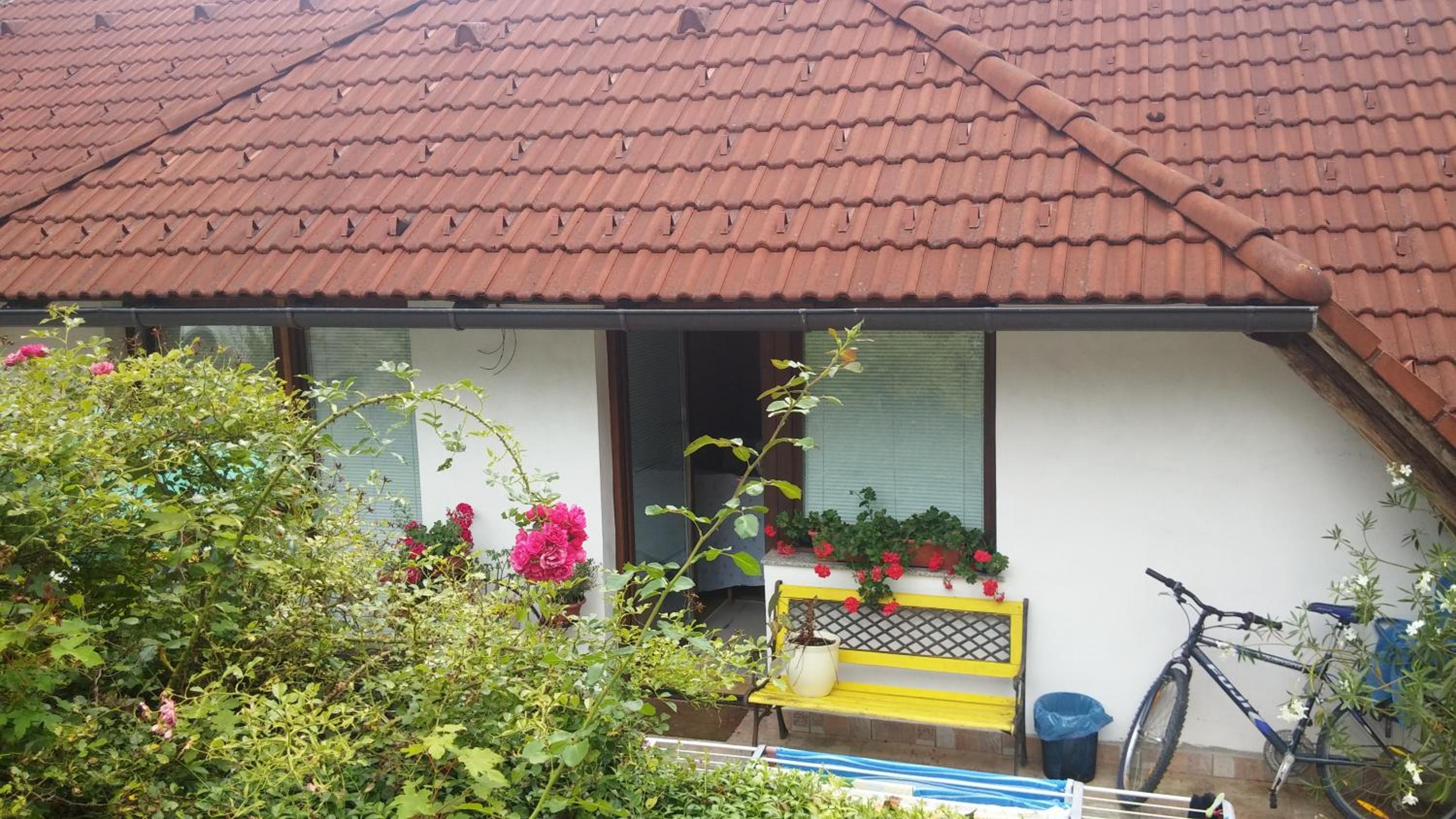 Darja Guesthouse