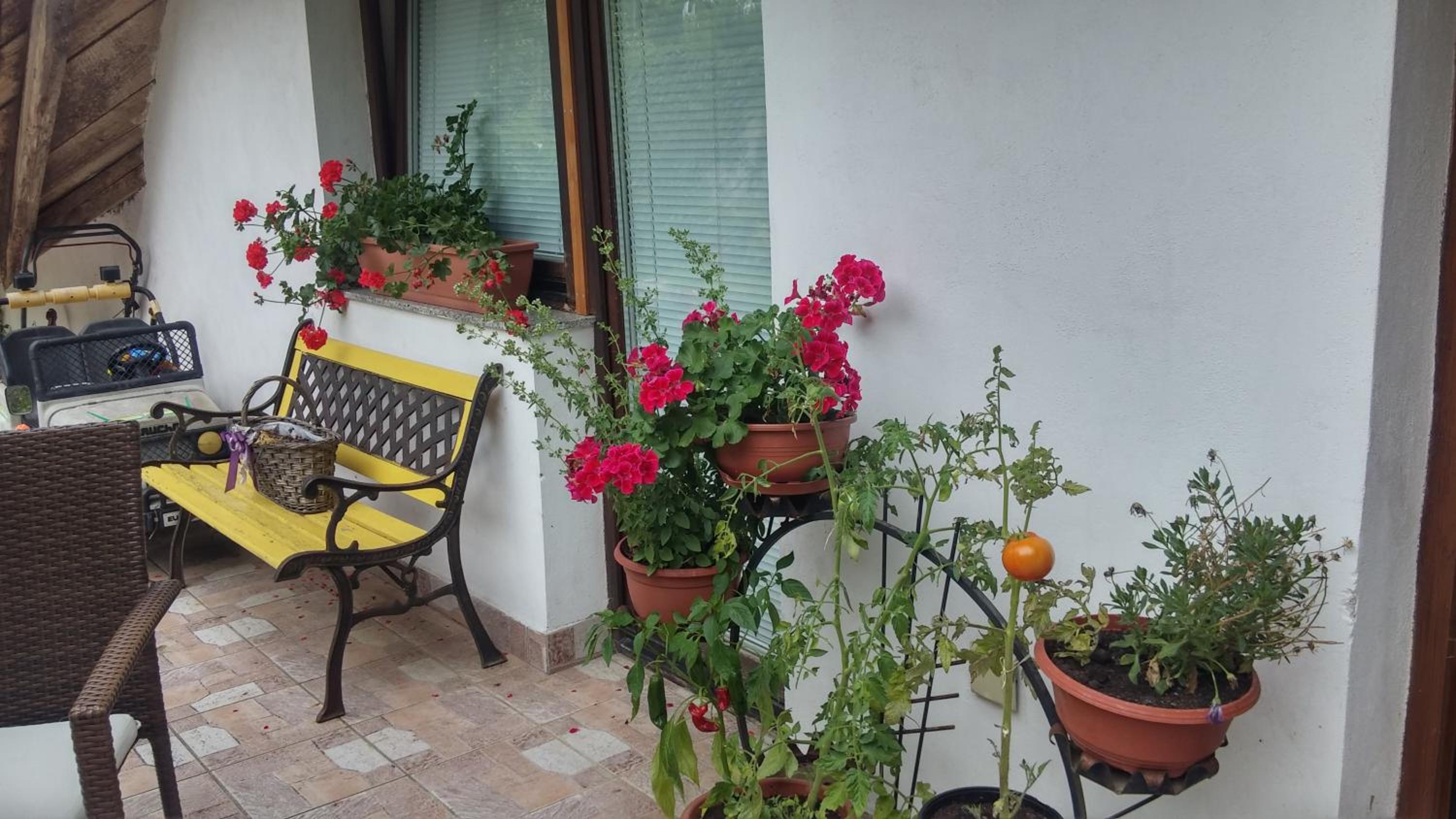 Darja Guesthouse