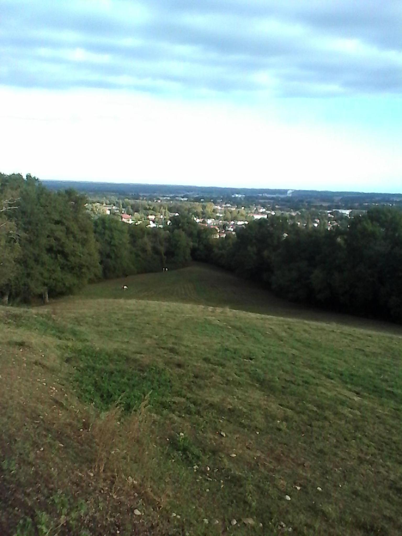 Photo 38