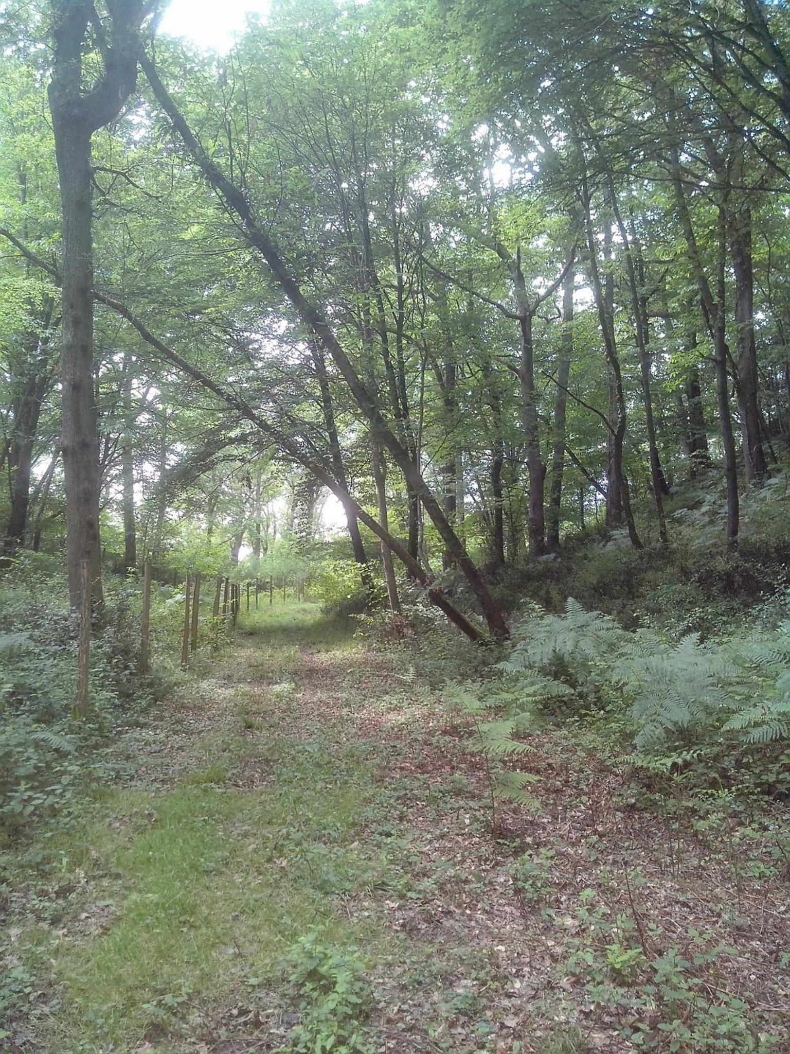 Photo 27
