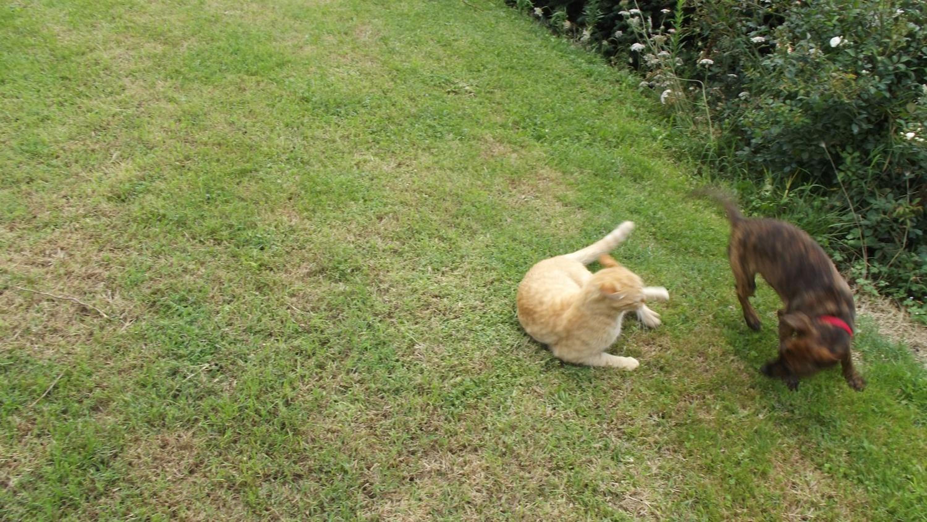 Photo 34