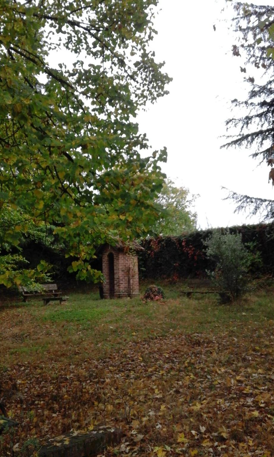 Casa Ramonda