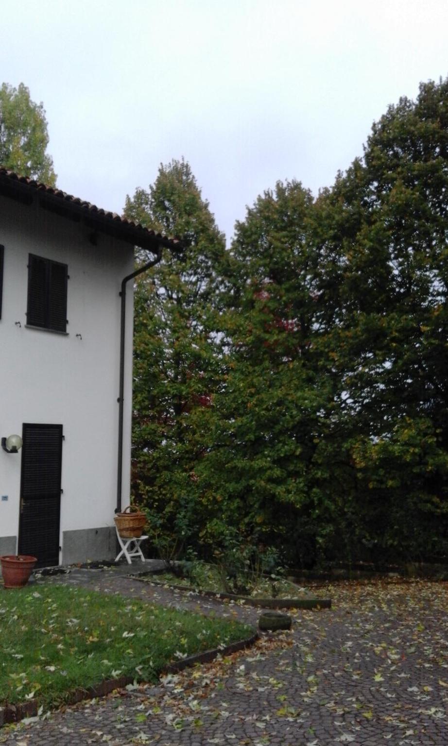 Casa Ramonda