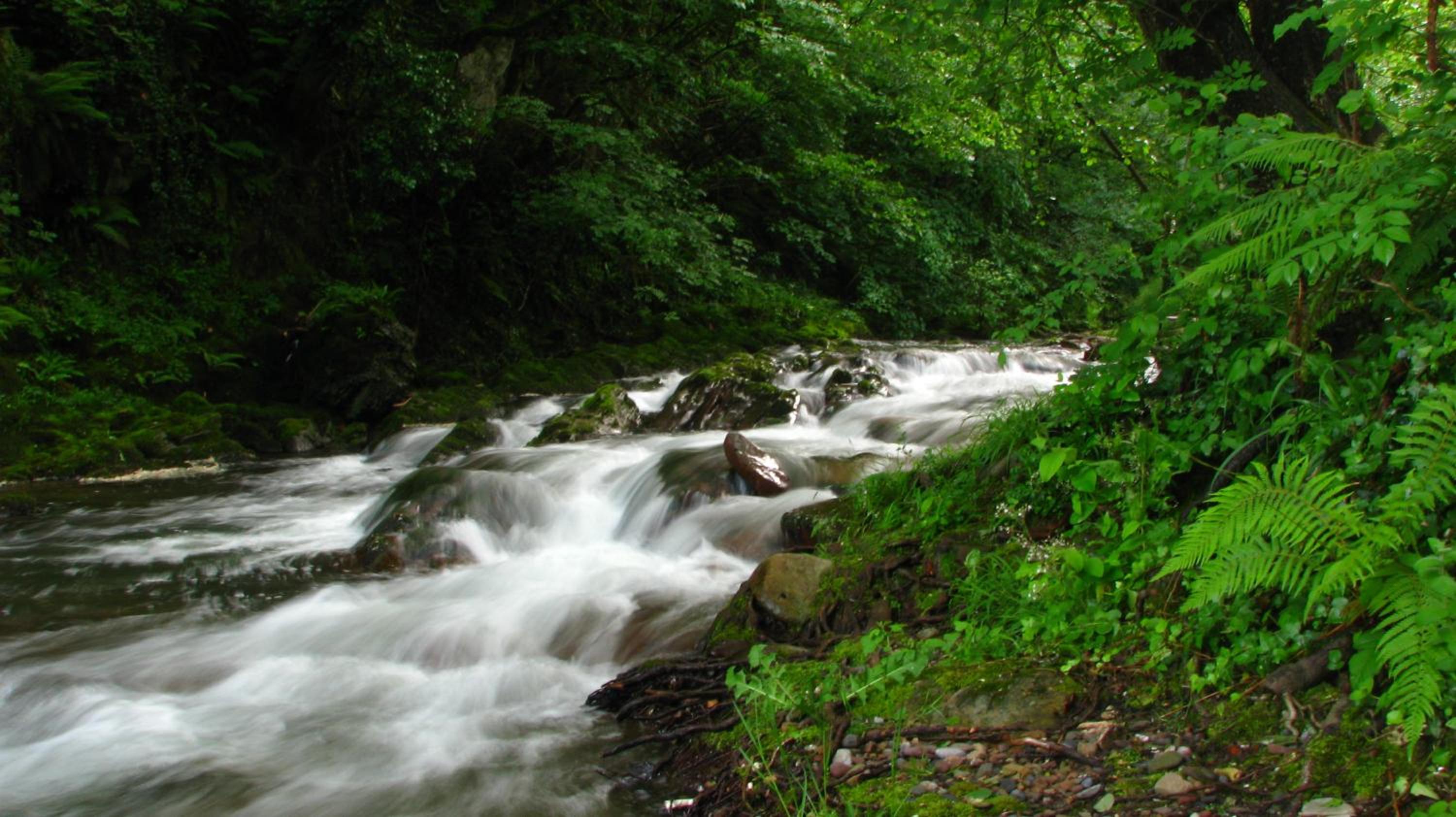 Photo 48