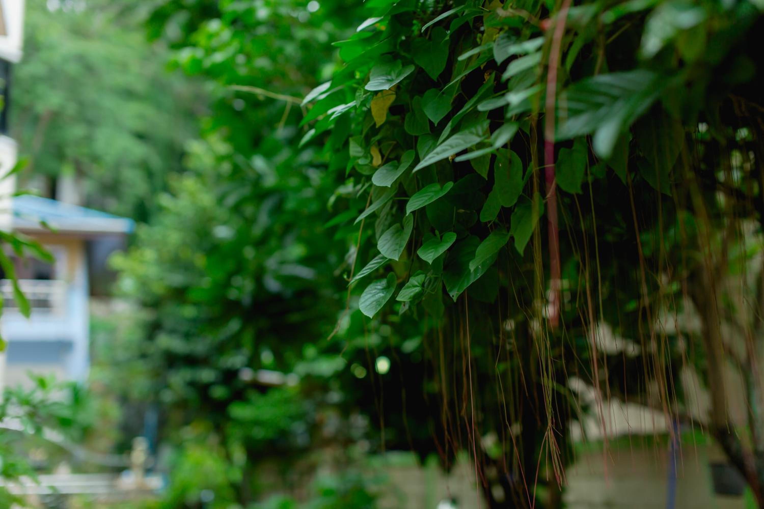 RK Guesthouse