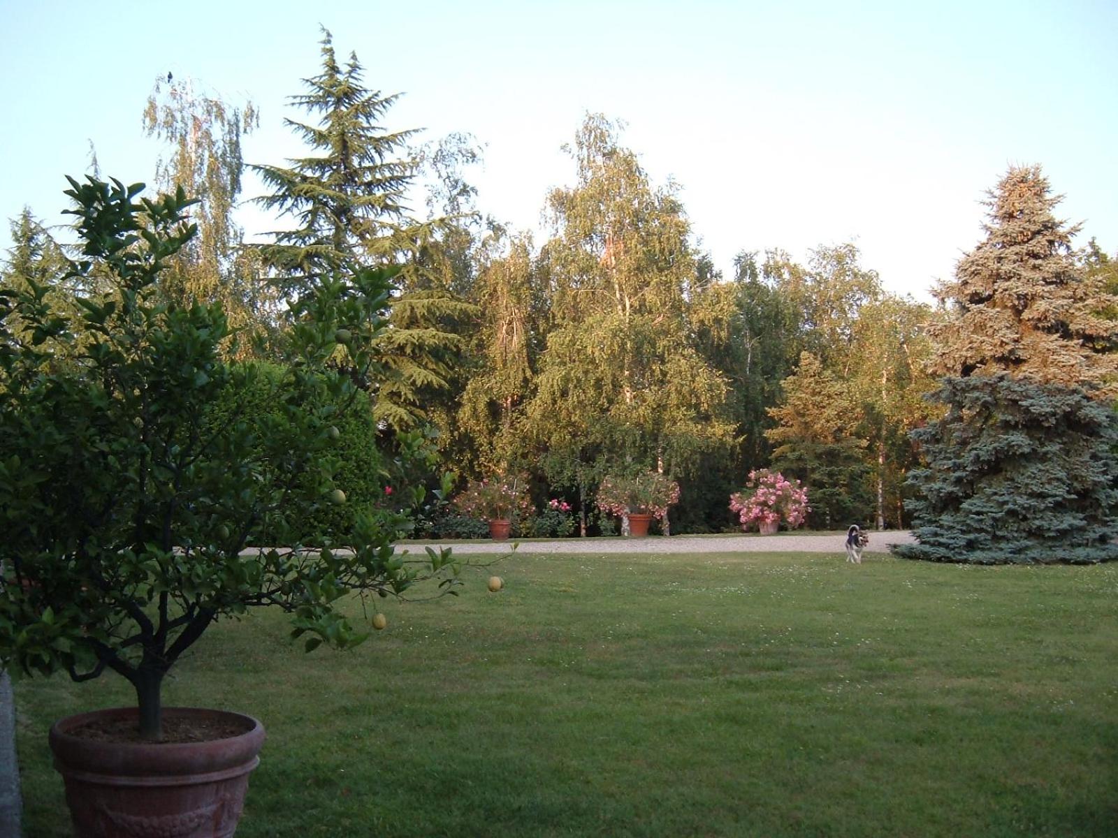 Cascina Barosca view 4