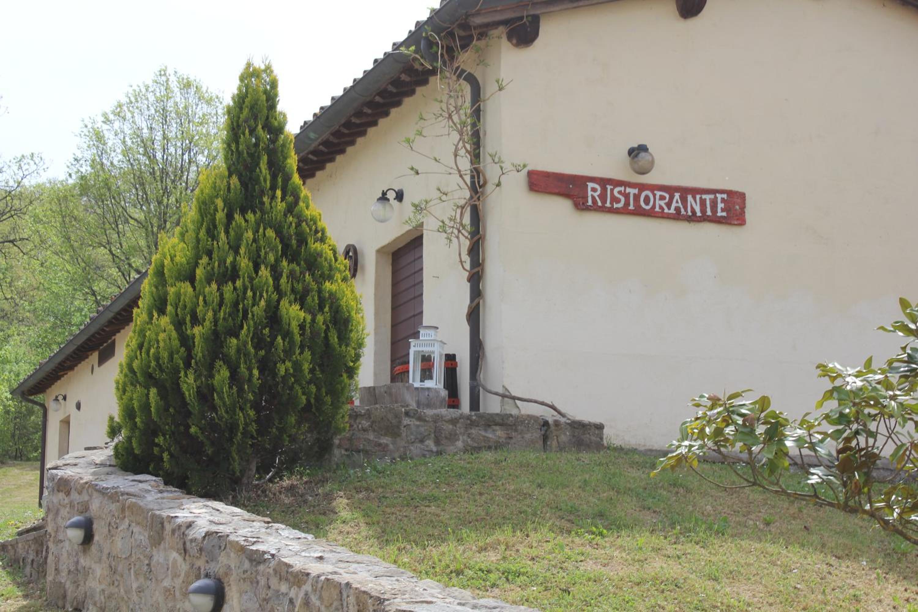 Badia il Vingone