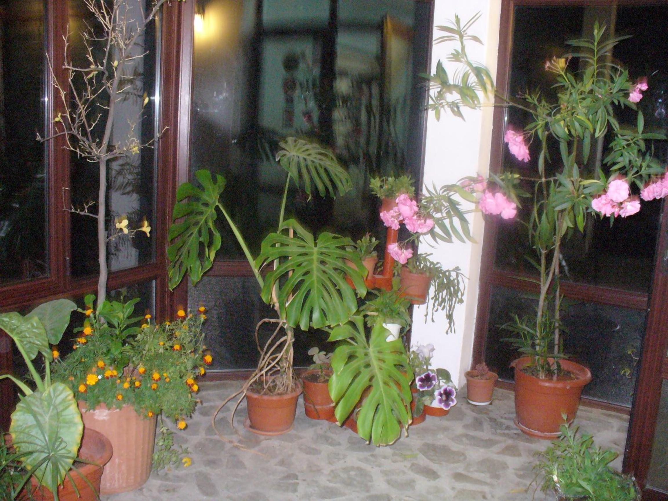 Pensiunea Cabana Veverita Valea Doftanei