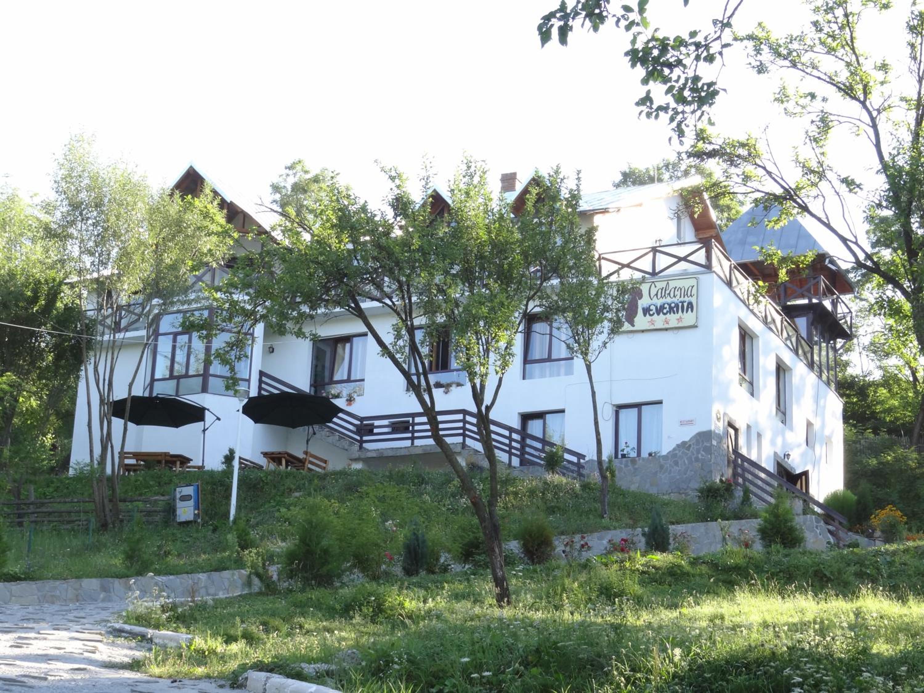 Pensiunea Cabana Veverita Valea Doftanei
