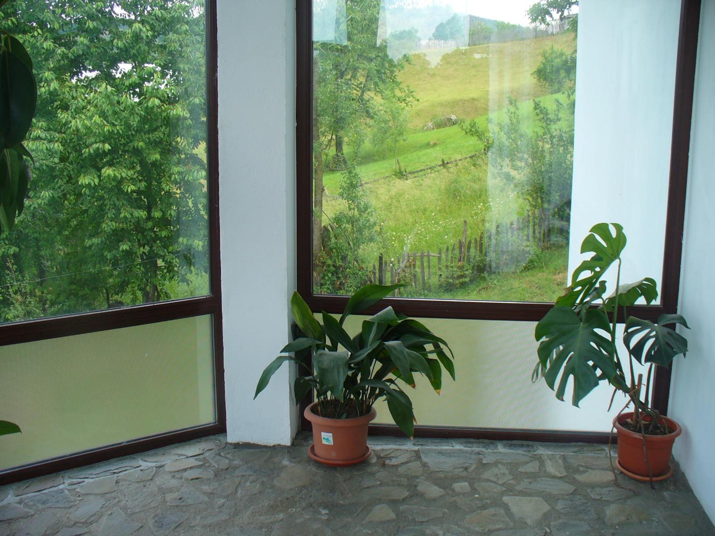 Pensiunea Cabana Veverita Valea Doftanei