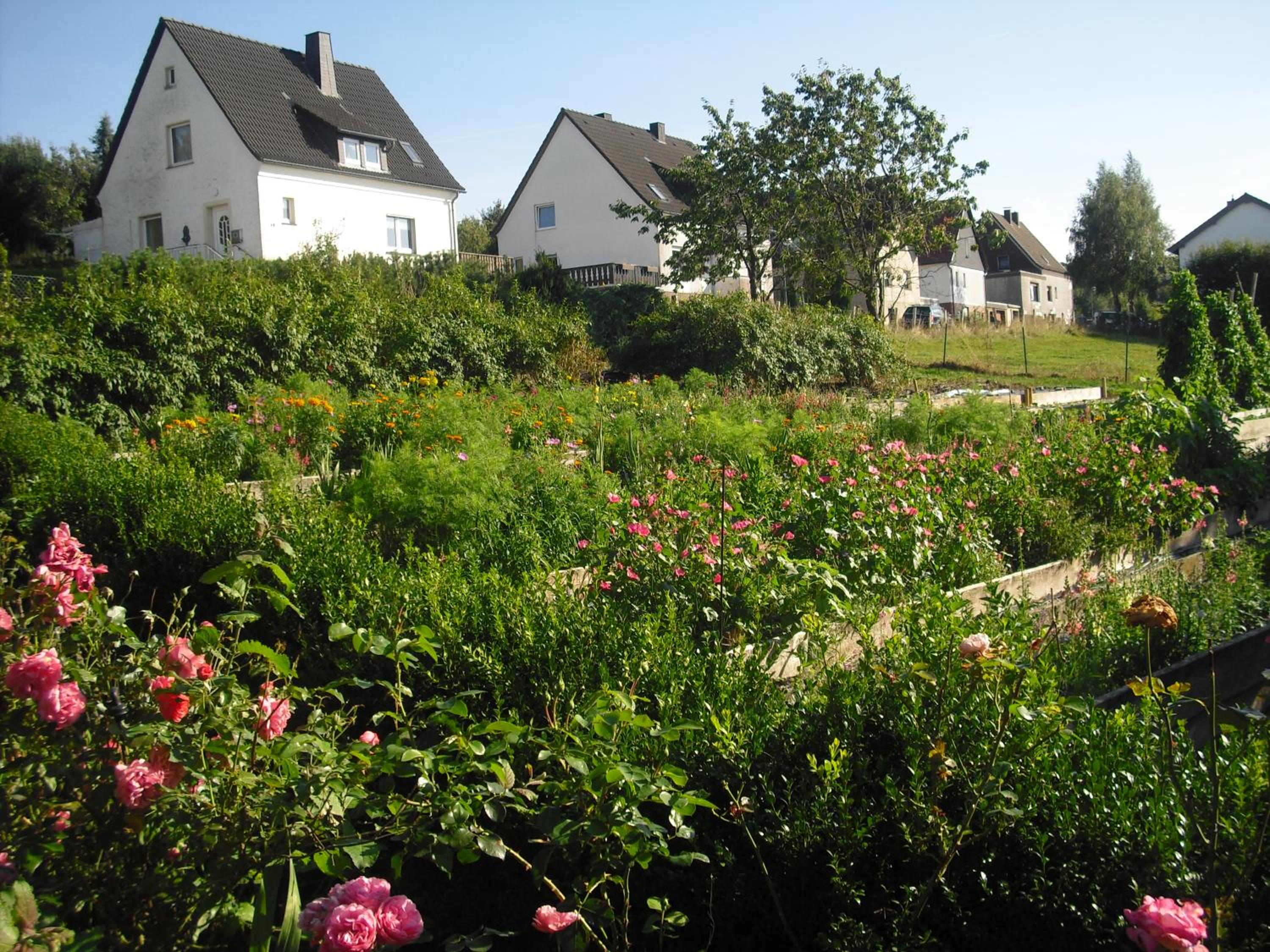 Willekes Blütenhof