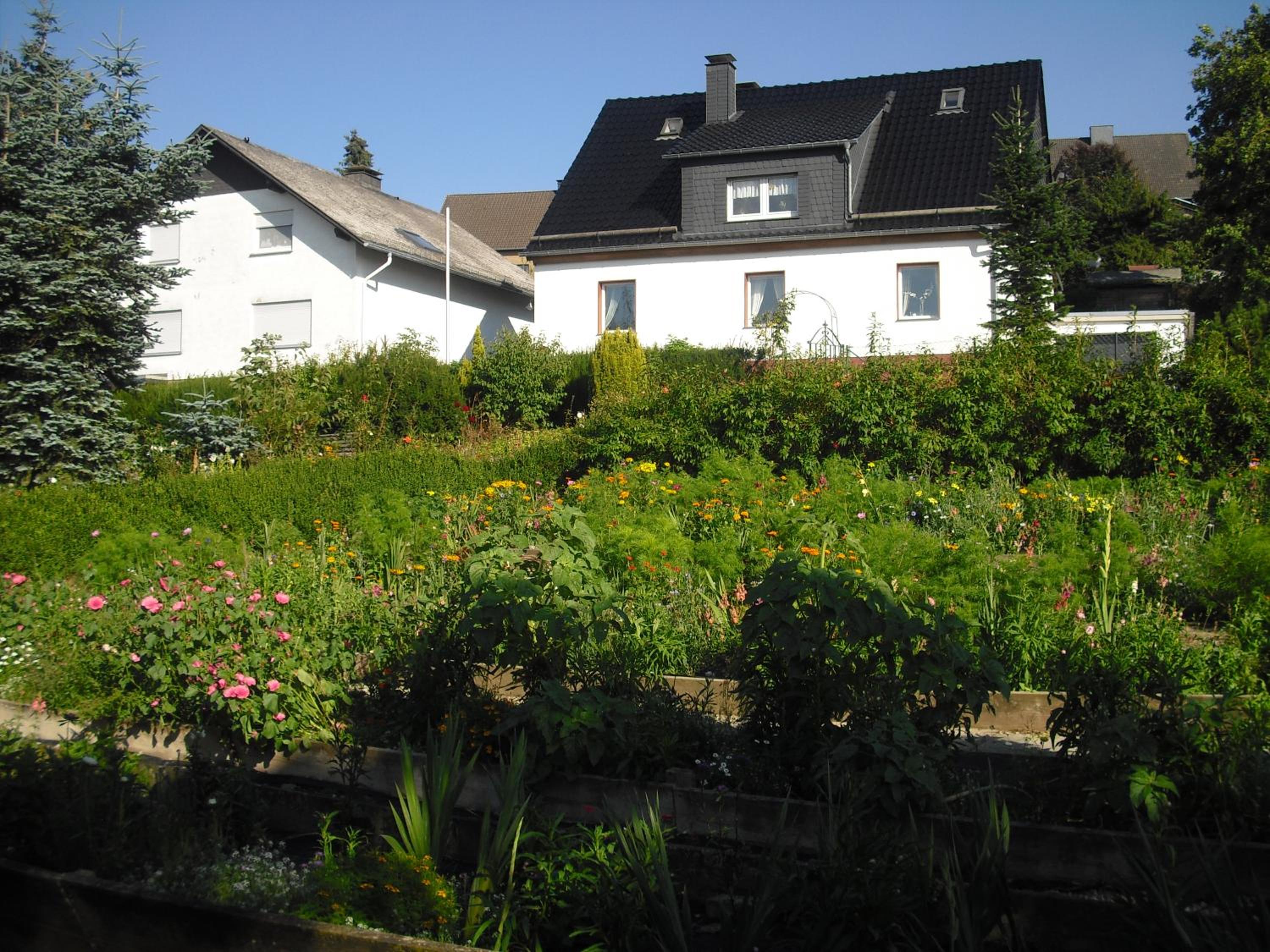 Willekes Blütenhof