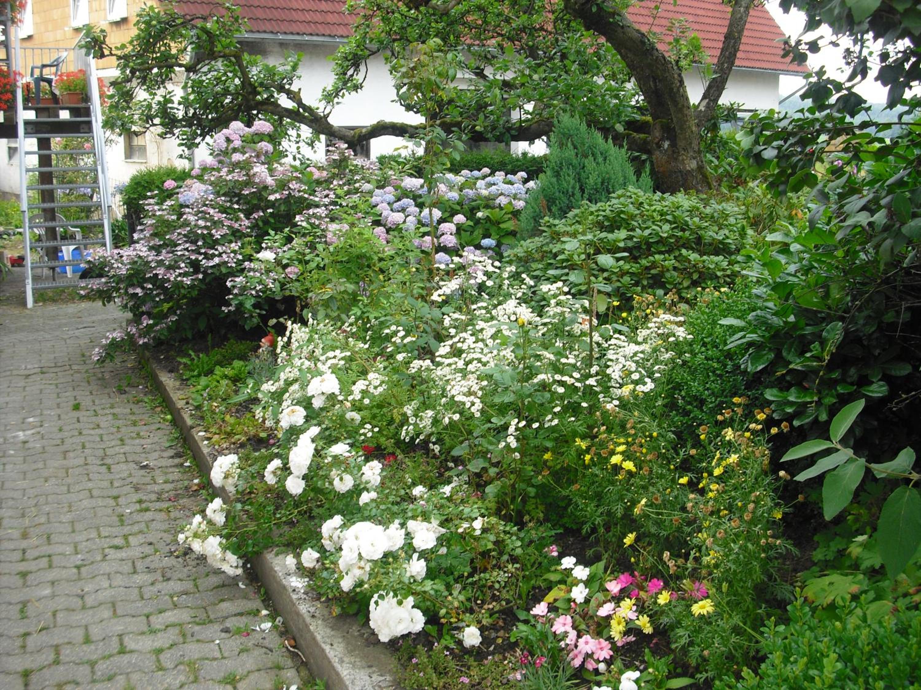 Willekes Blütenhof