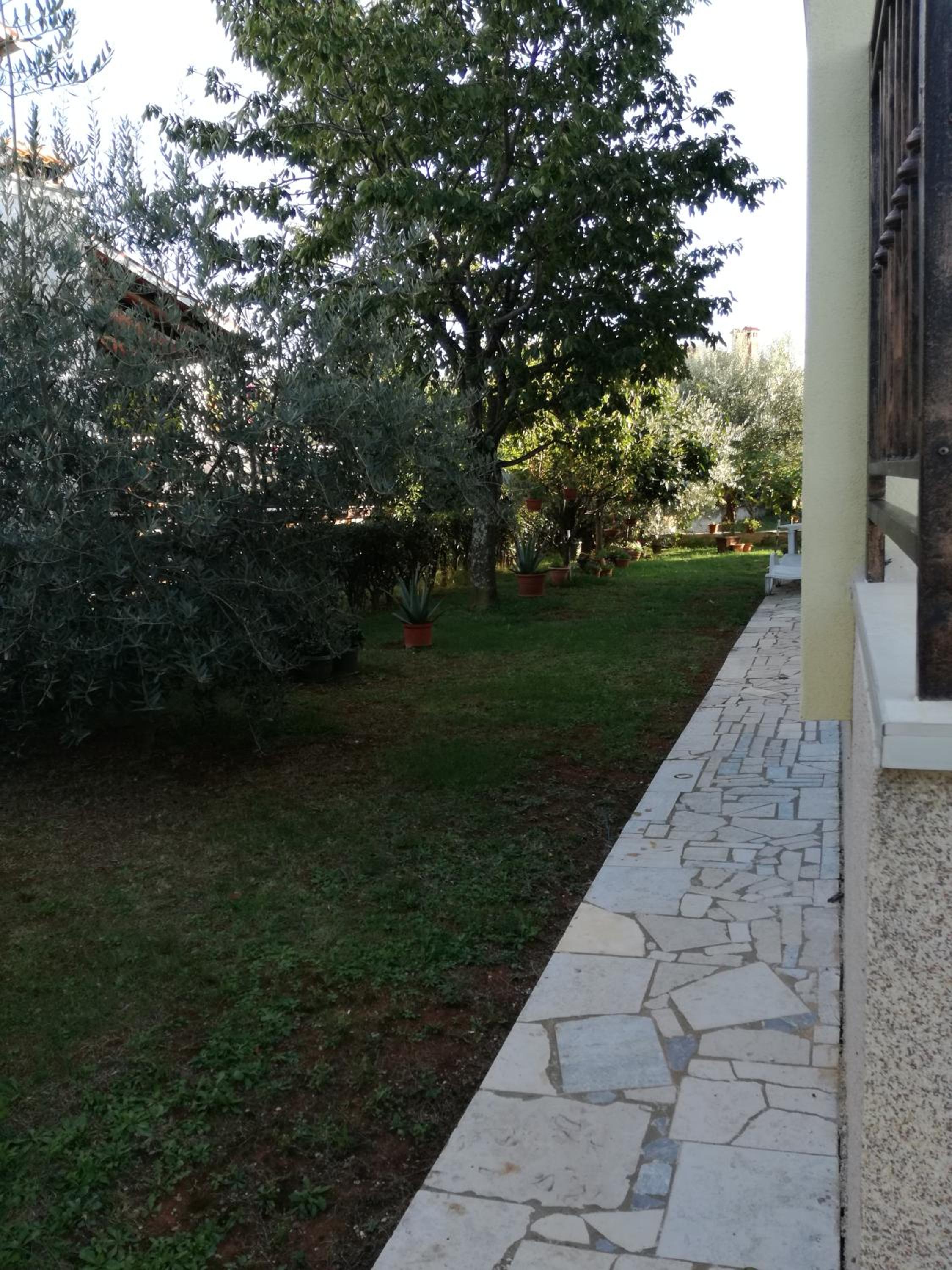 Photo 58