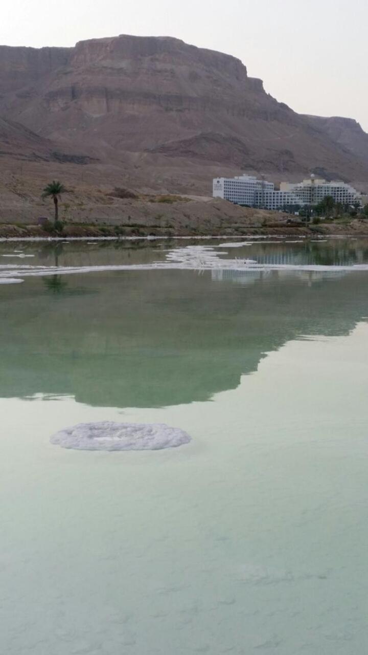 Rose Dead Sea Neve Zohar view 5