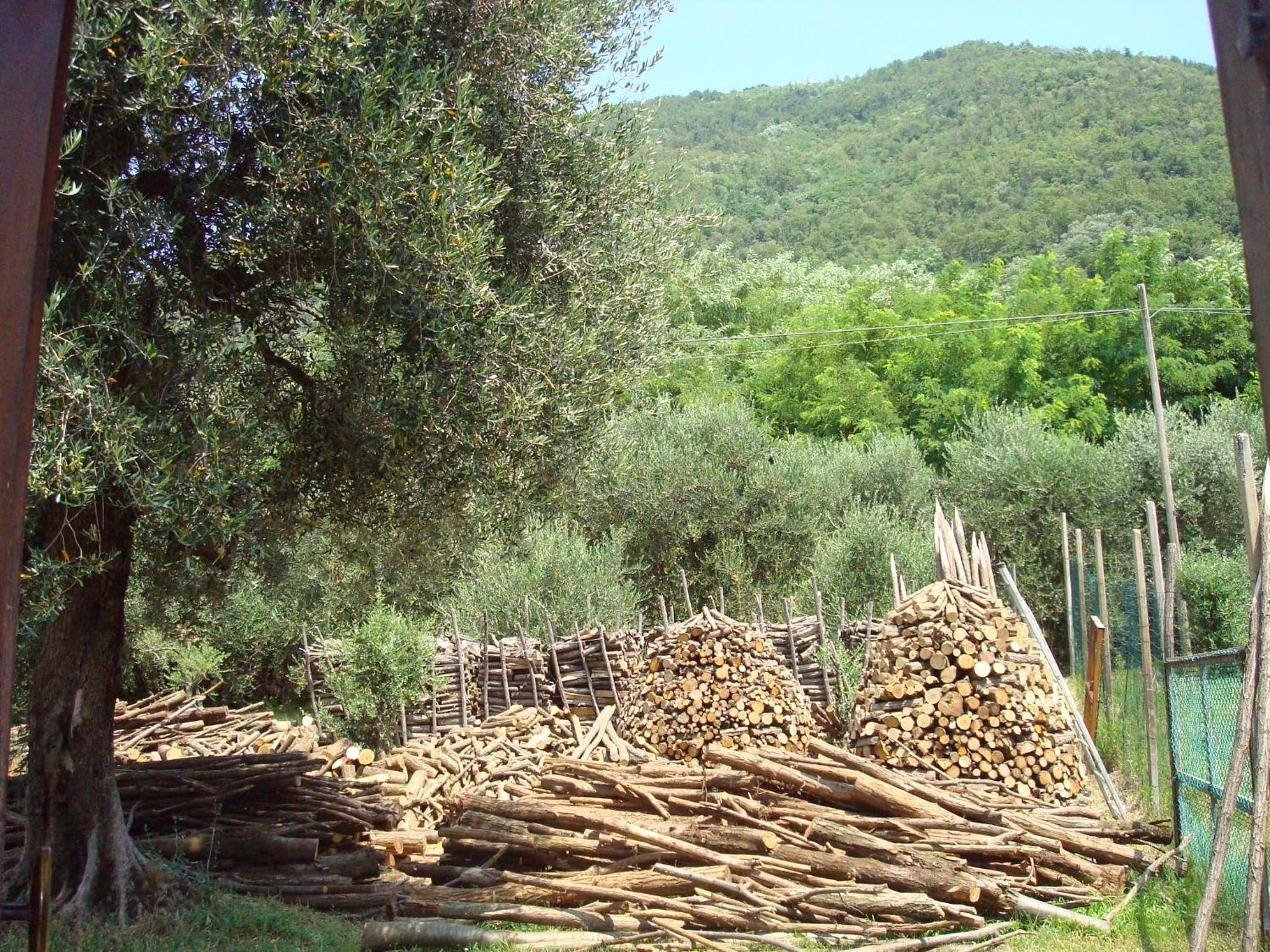 Il Castagneto photo 3