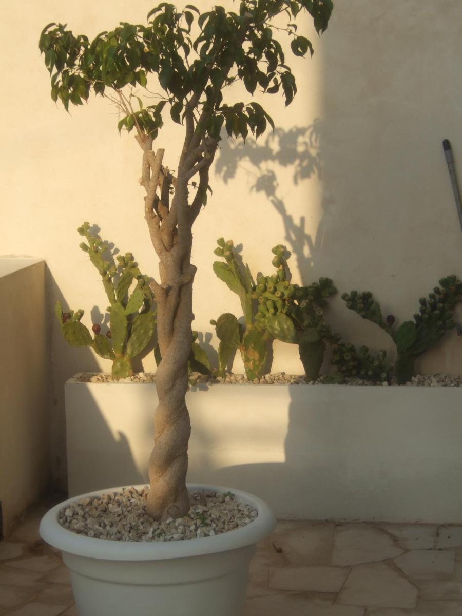 Photo 24
