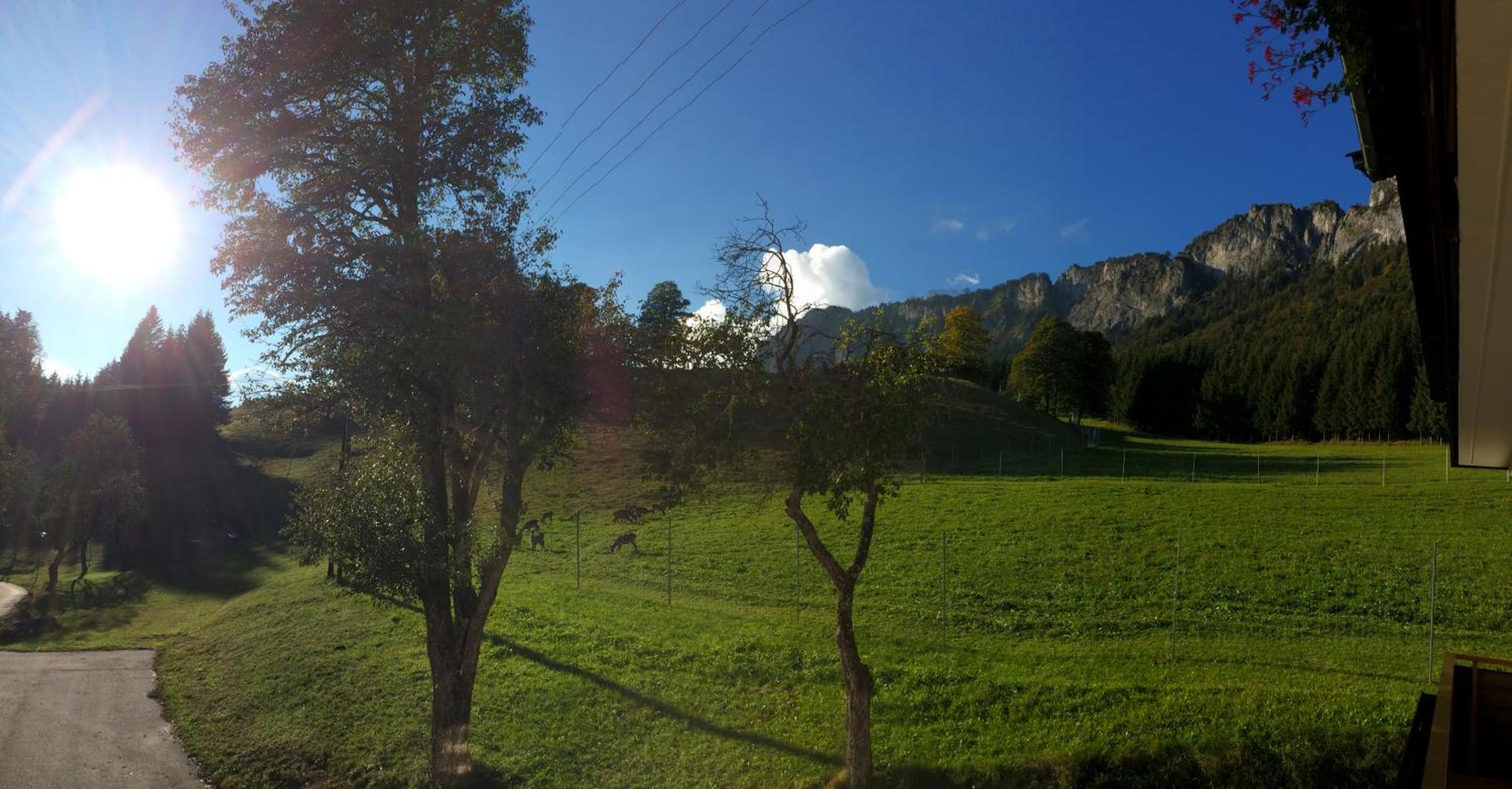 Berghof Haselsberger, photo 65