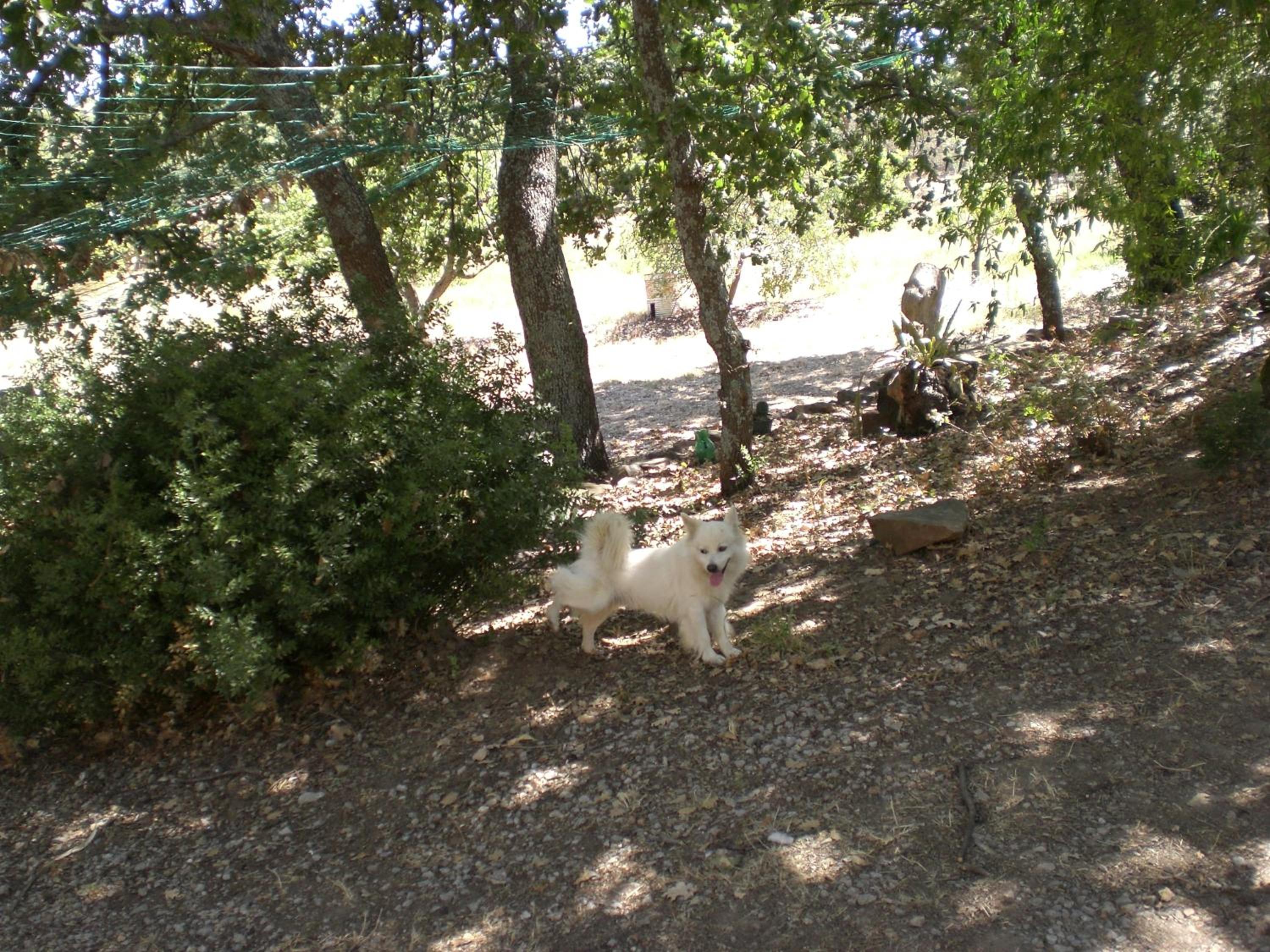 Photo 52