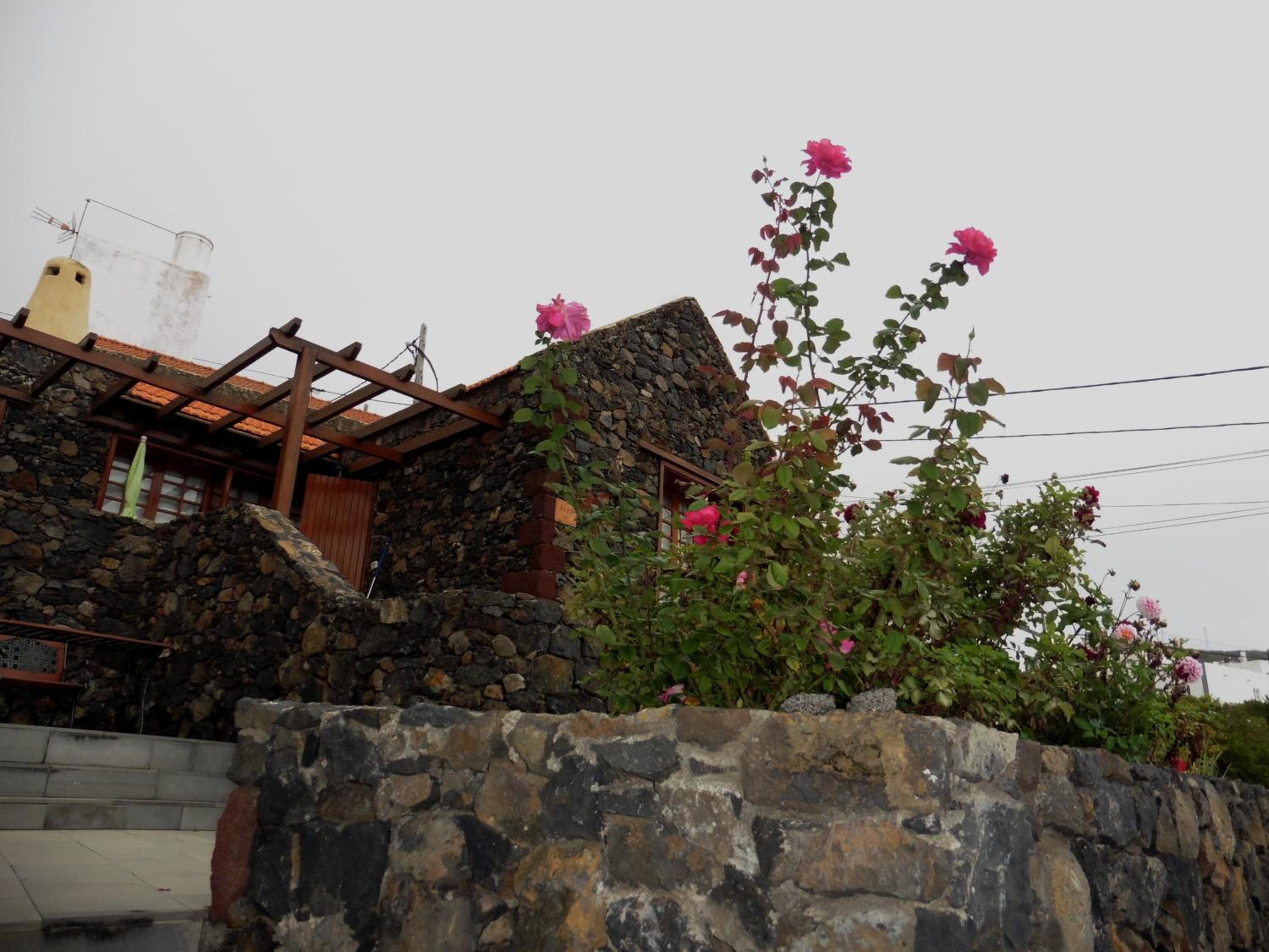 Casas Rurales Los Almendreros