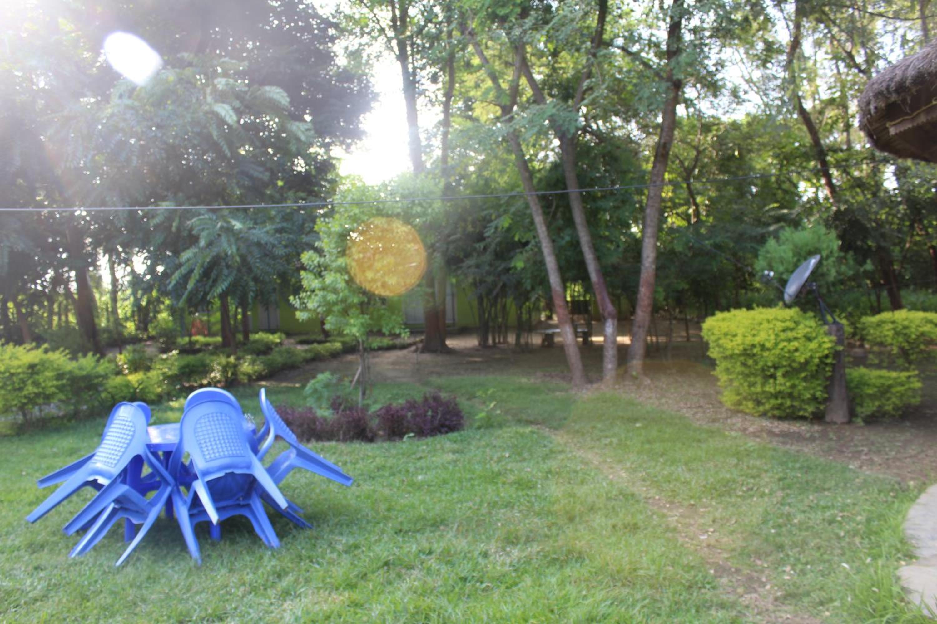 Photo 31