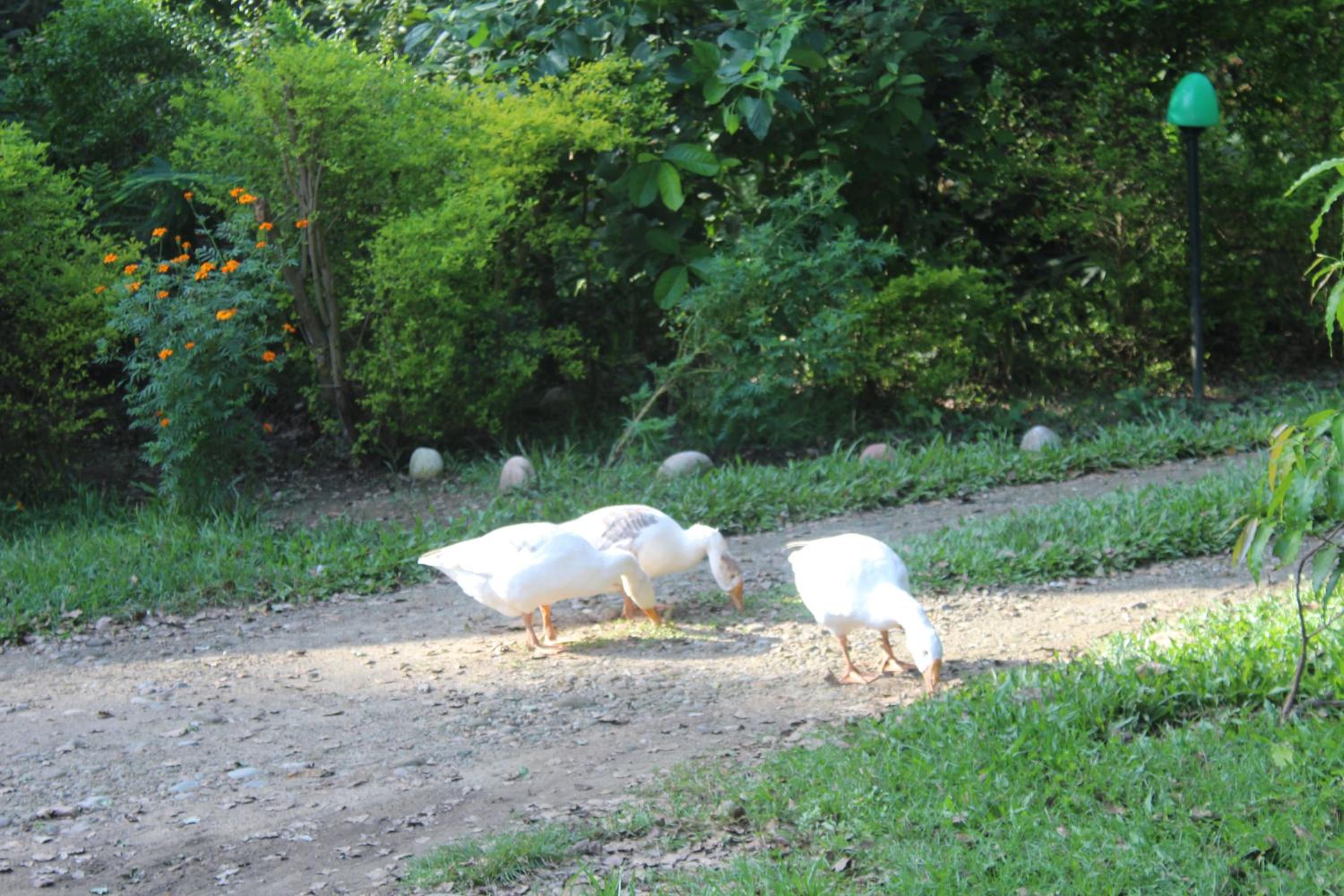 Photo 28