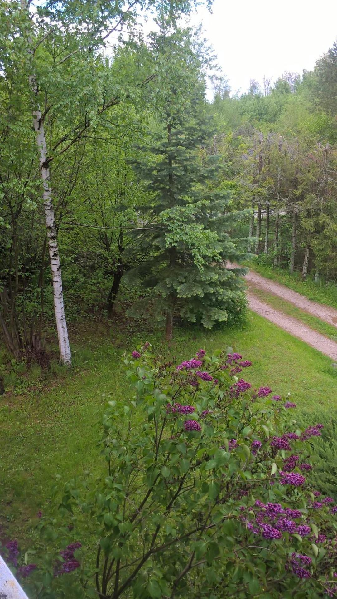 Photo 28