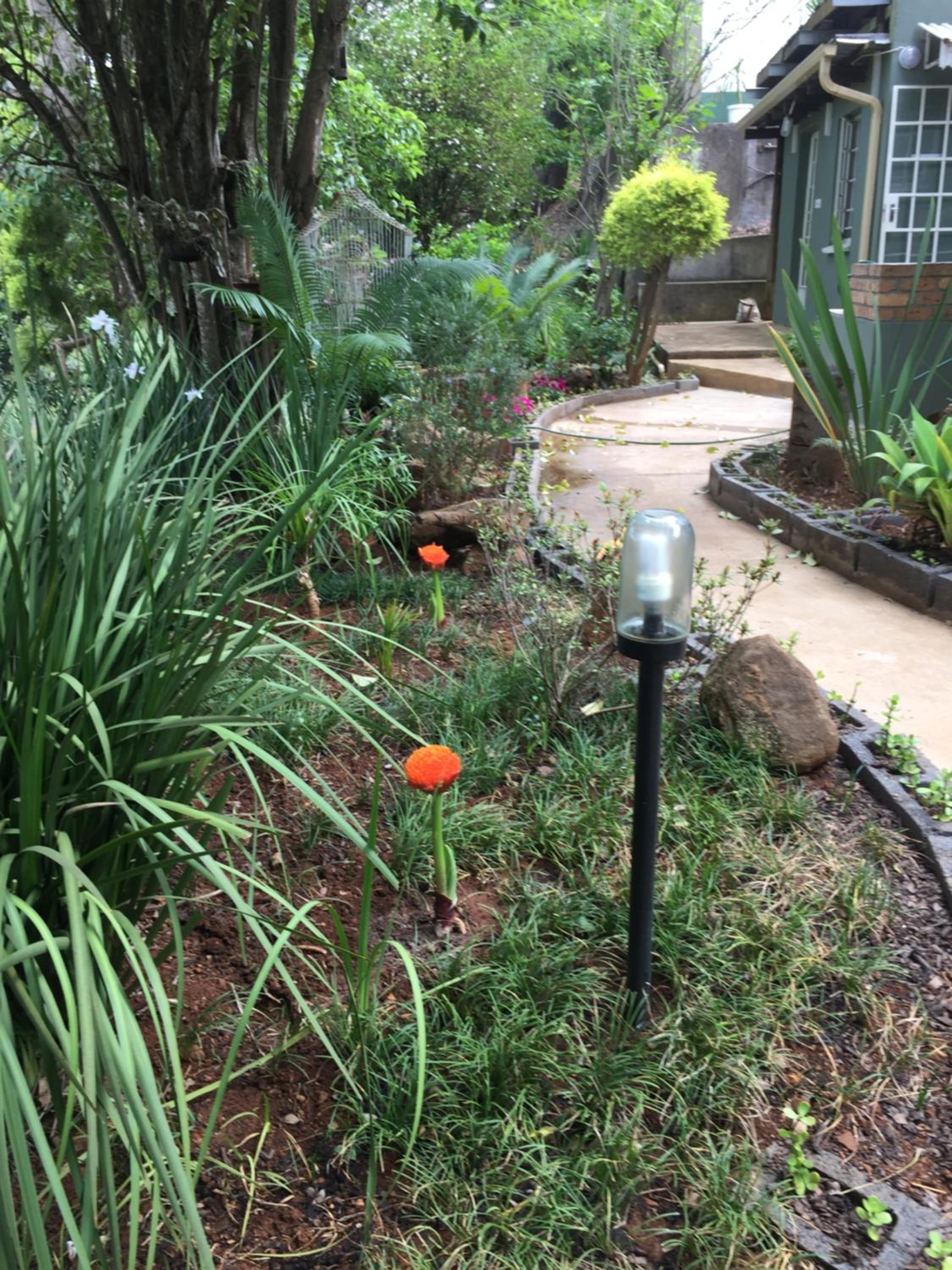 Sabie Self Catering Apartments