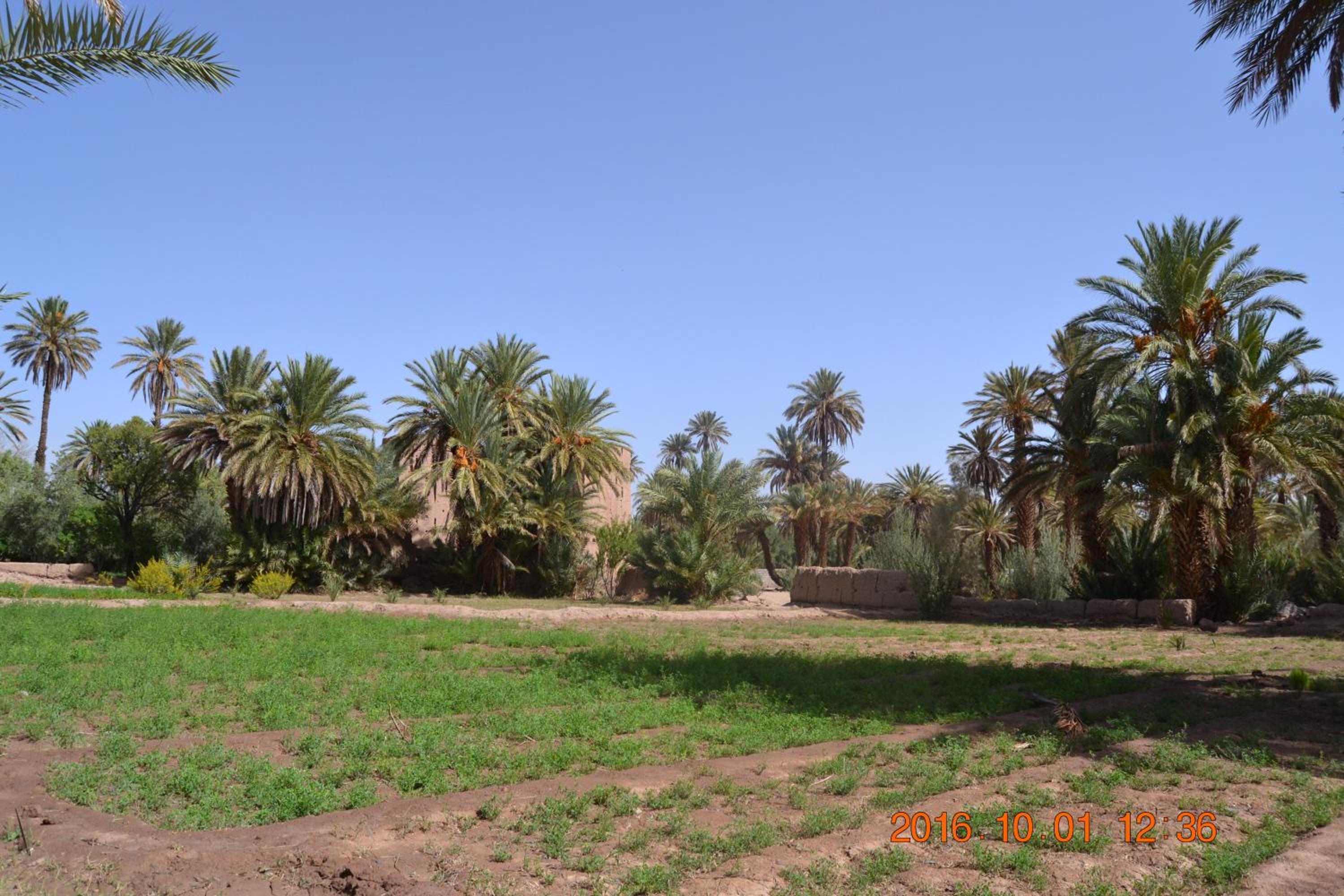 Photo 42