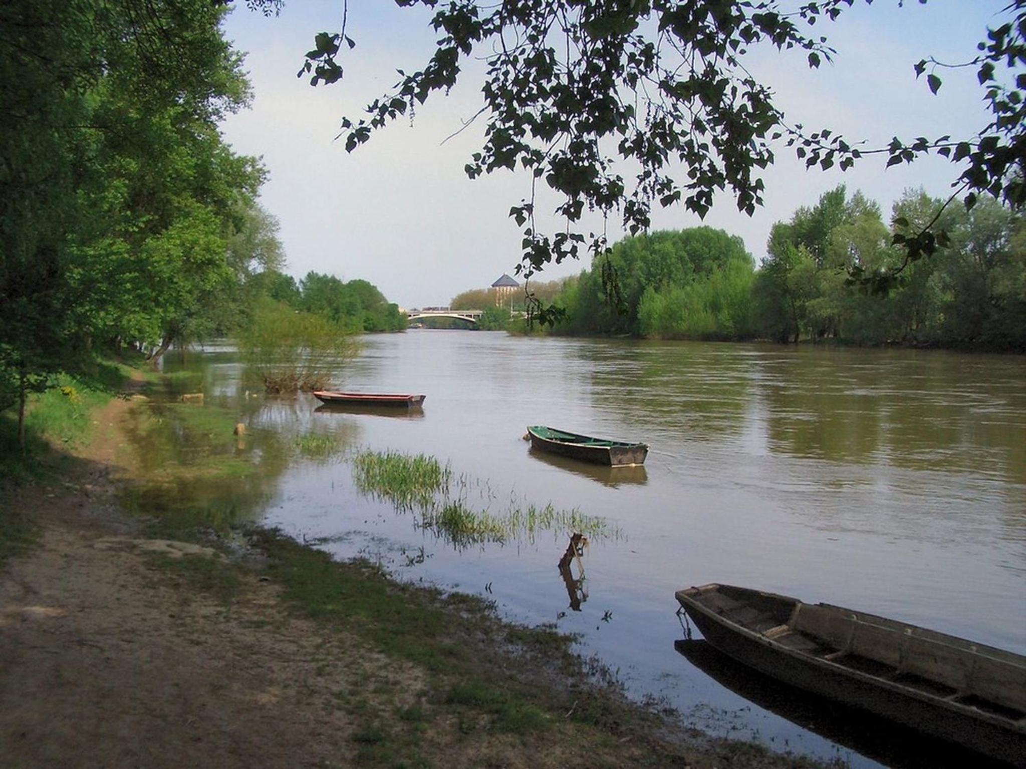Photo 24
