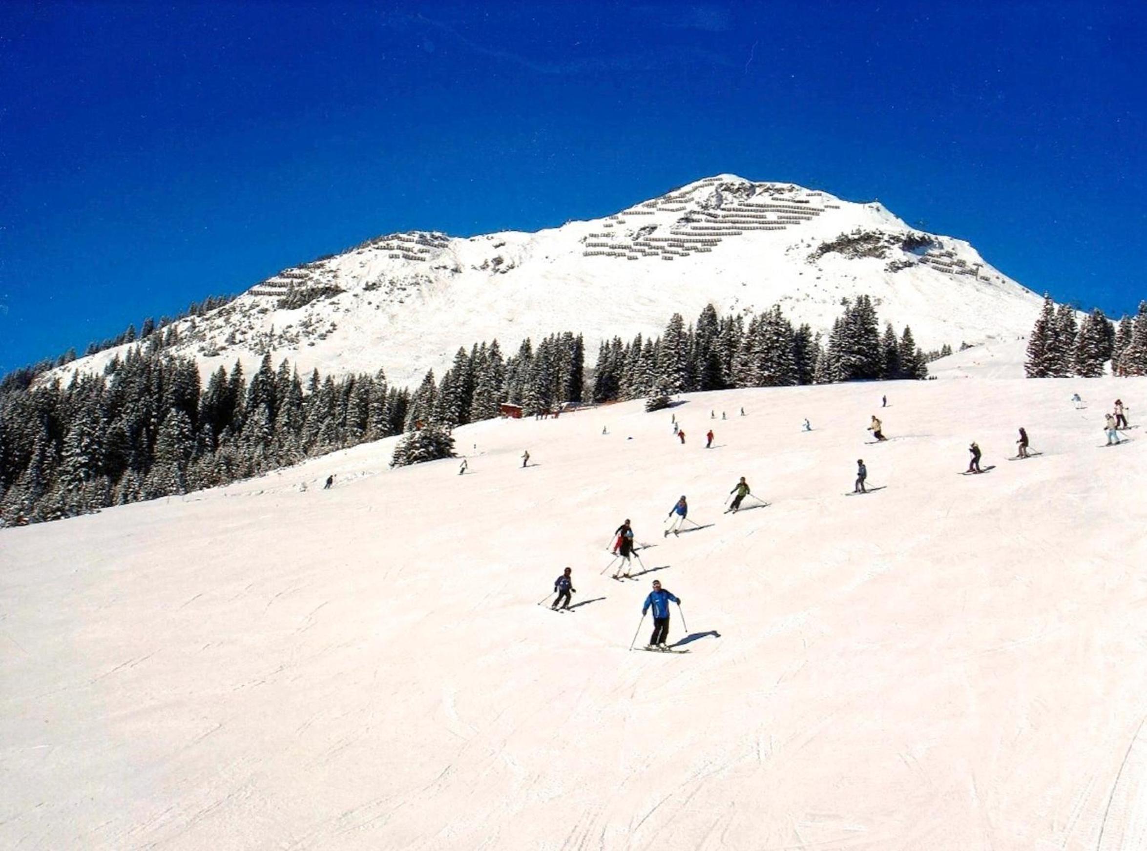 Chalet Schneekristall