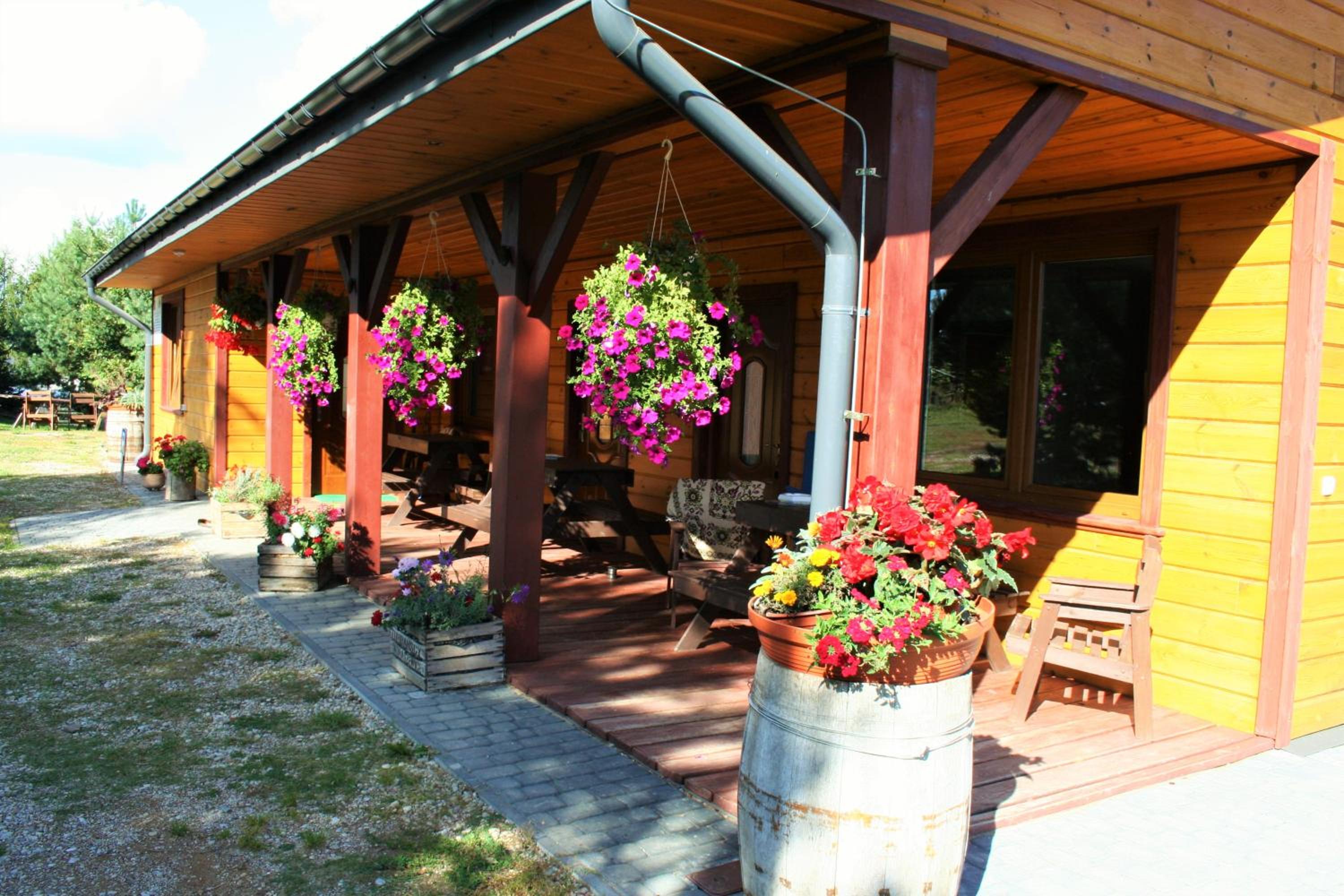 Photo 8