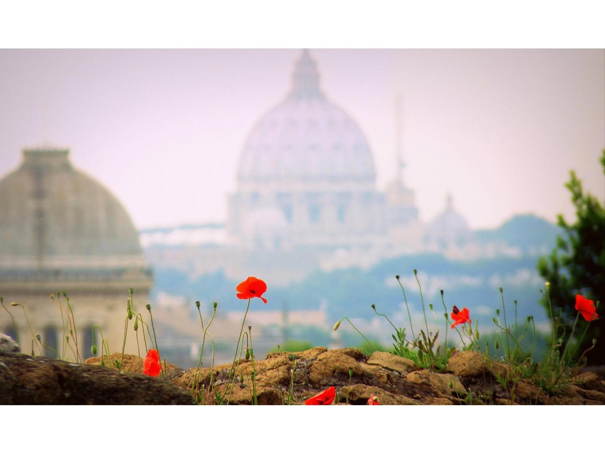 Rome Luxury Rental - Vicolo Palle