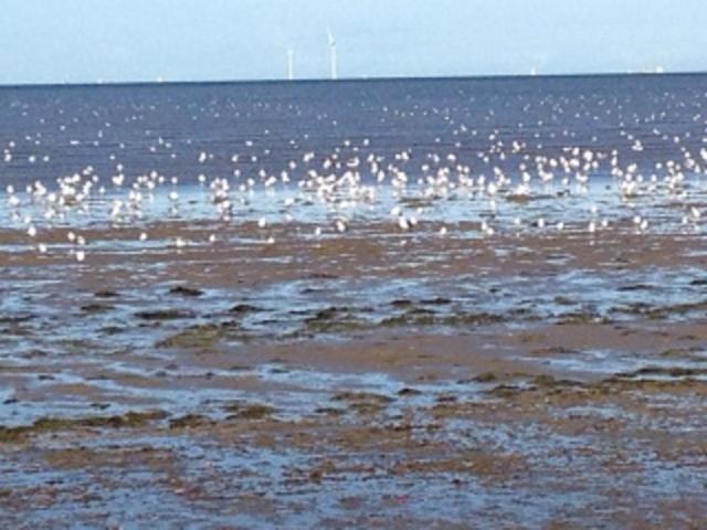 Seaways Cottage Hoylake