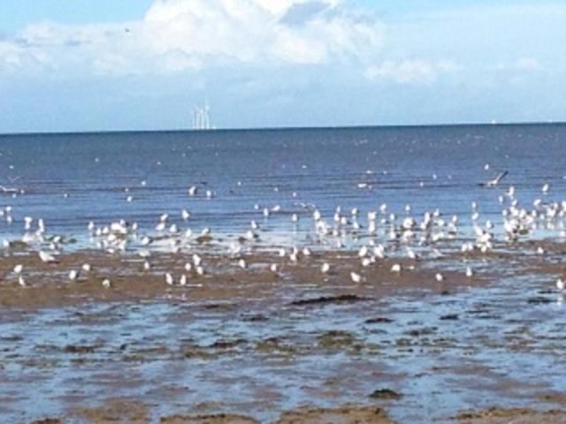 Seaways Cottage Hoylake