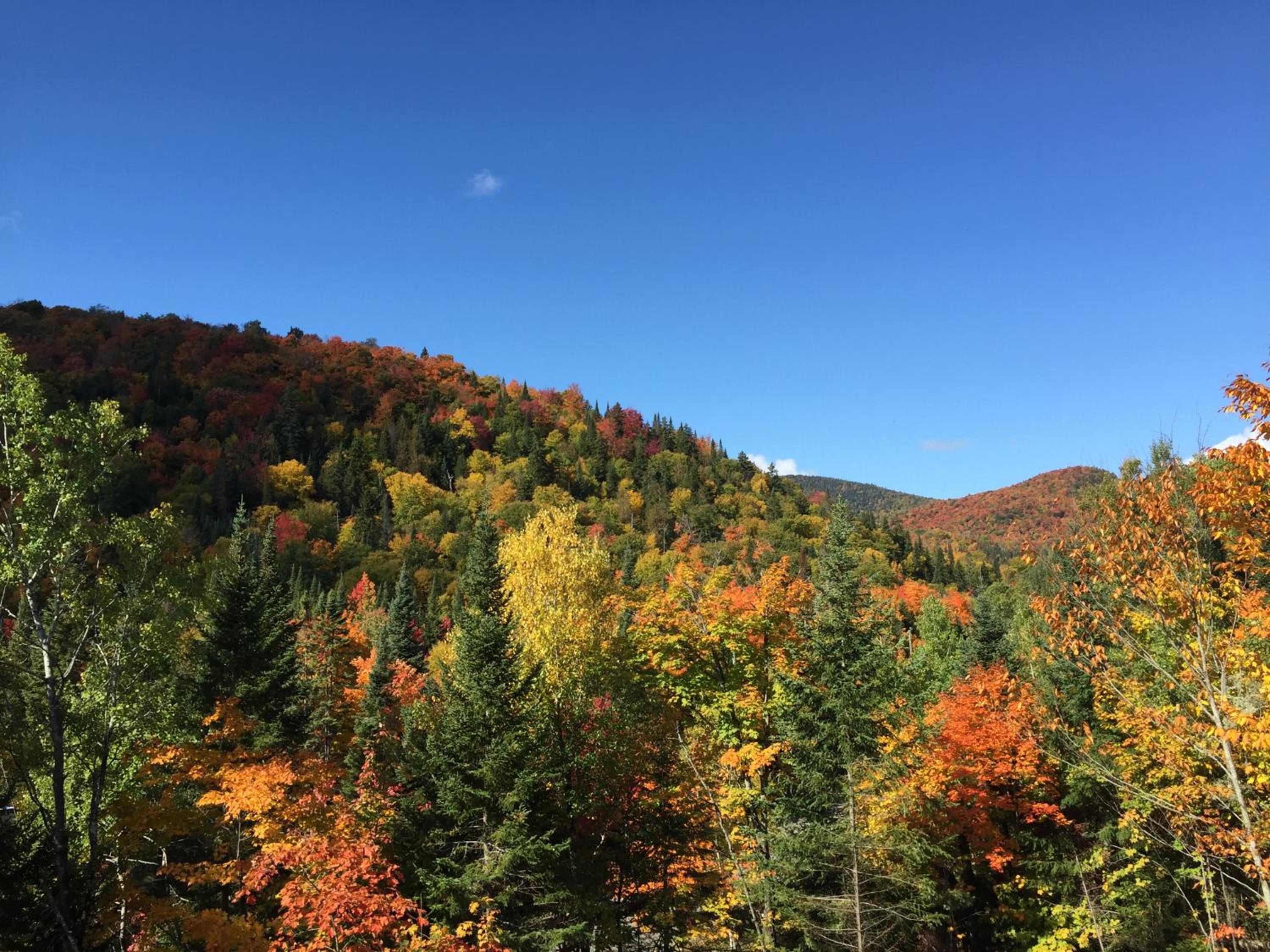 Hotel Lodge Nature Laurentides - Image 1
