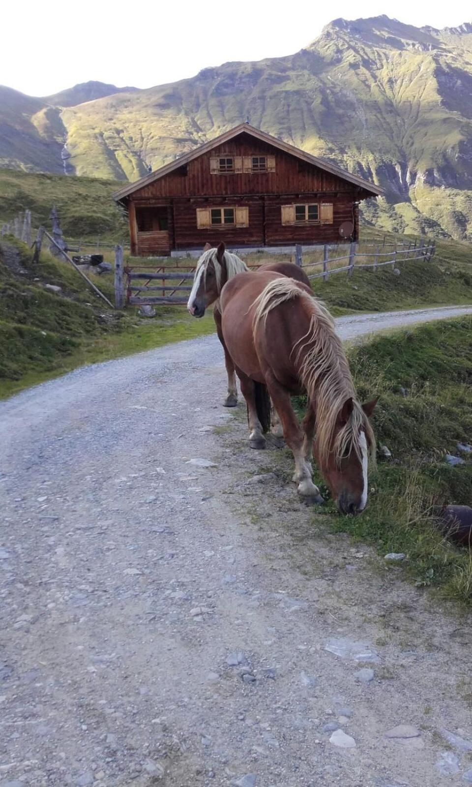 Haus Habetseder