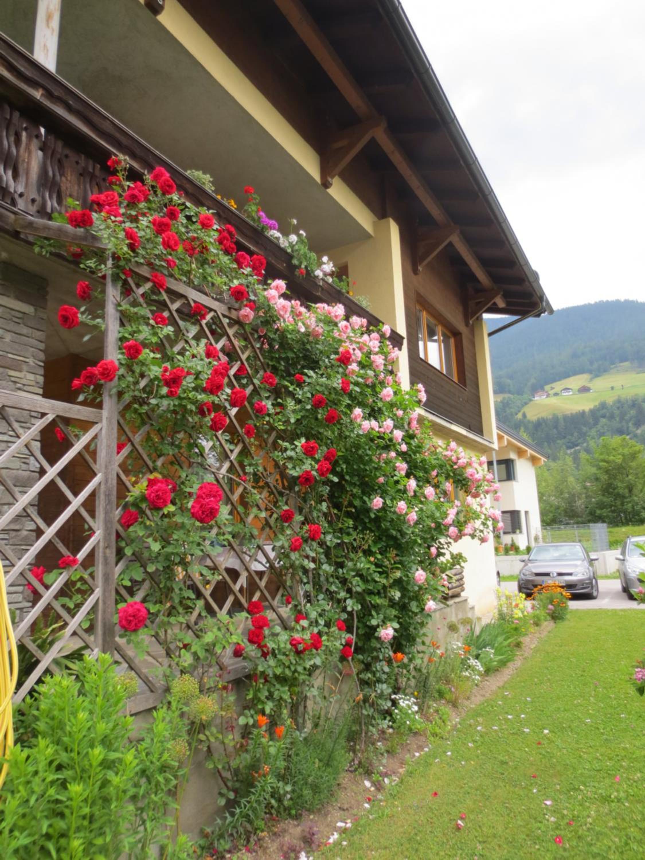 Haus Mitti