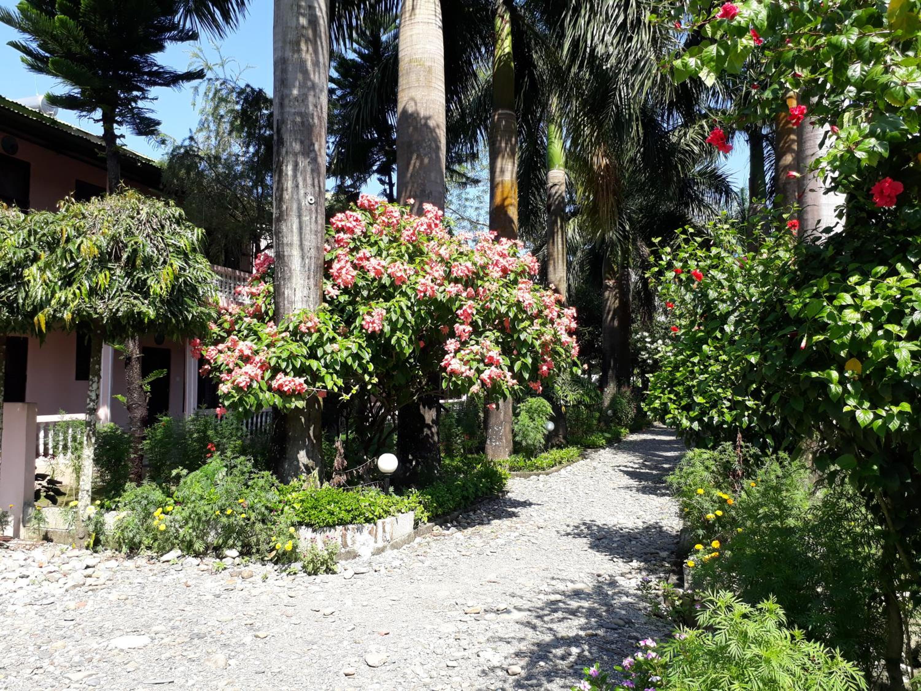 Sauraha Resort