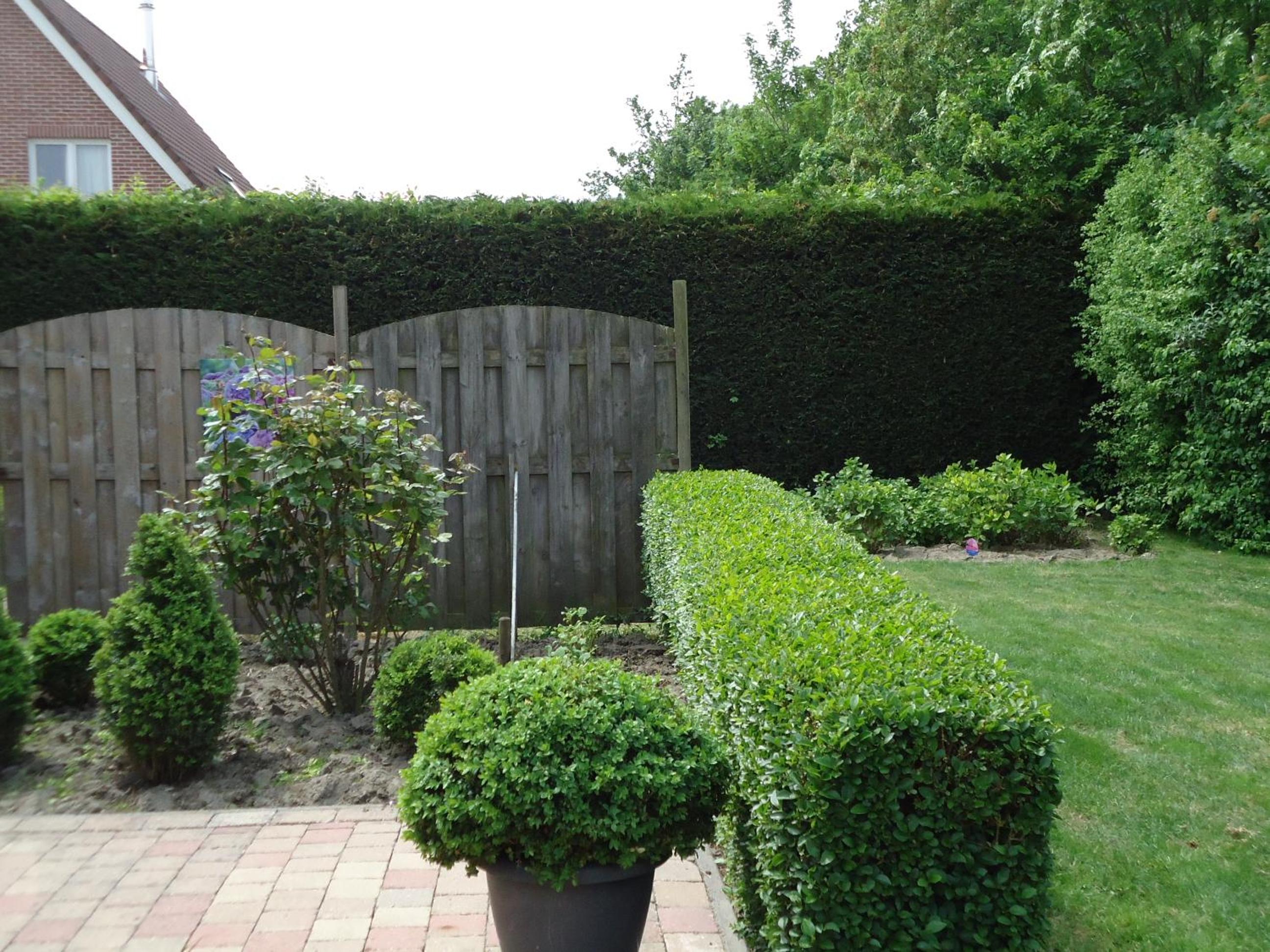 Photo 23