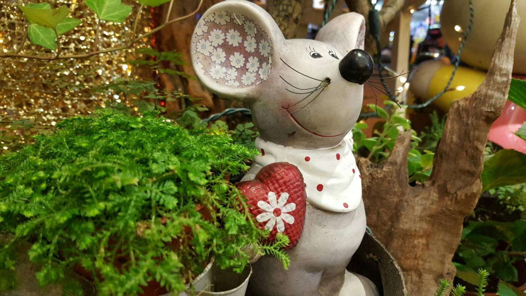橙舍一館 TW Hostel I