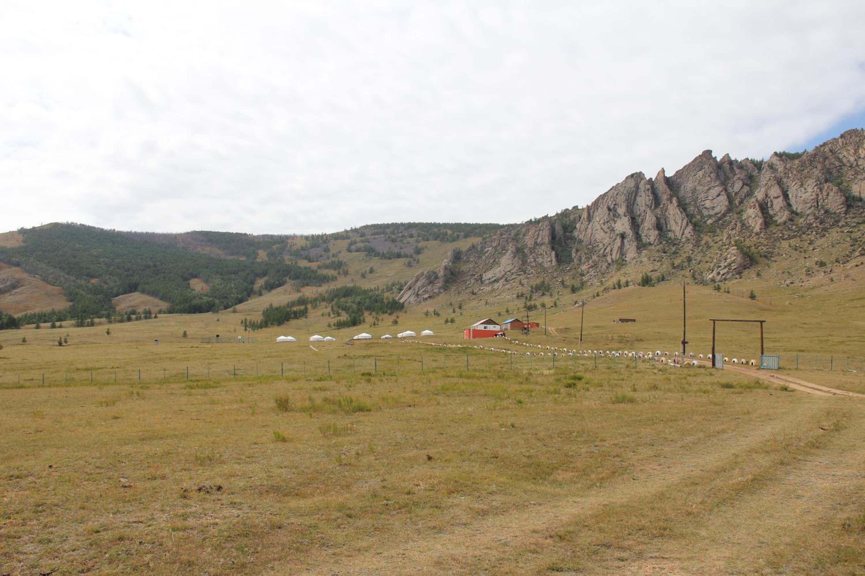 Photo 14
