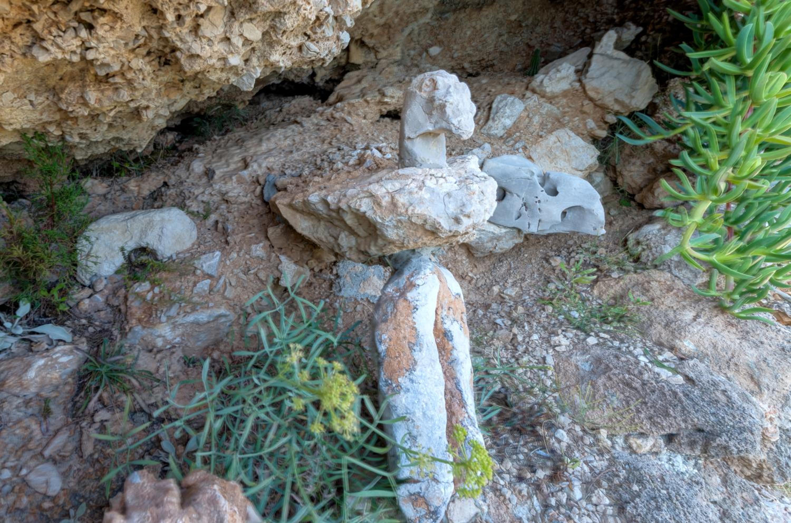 Photo 47