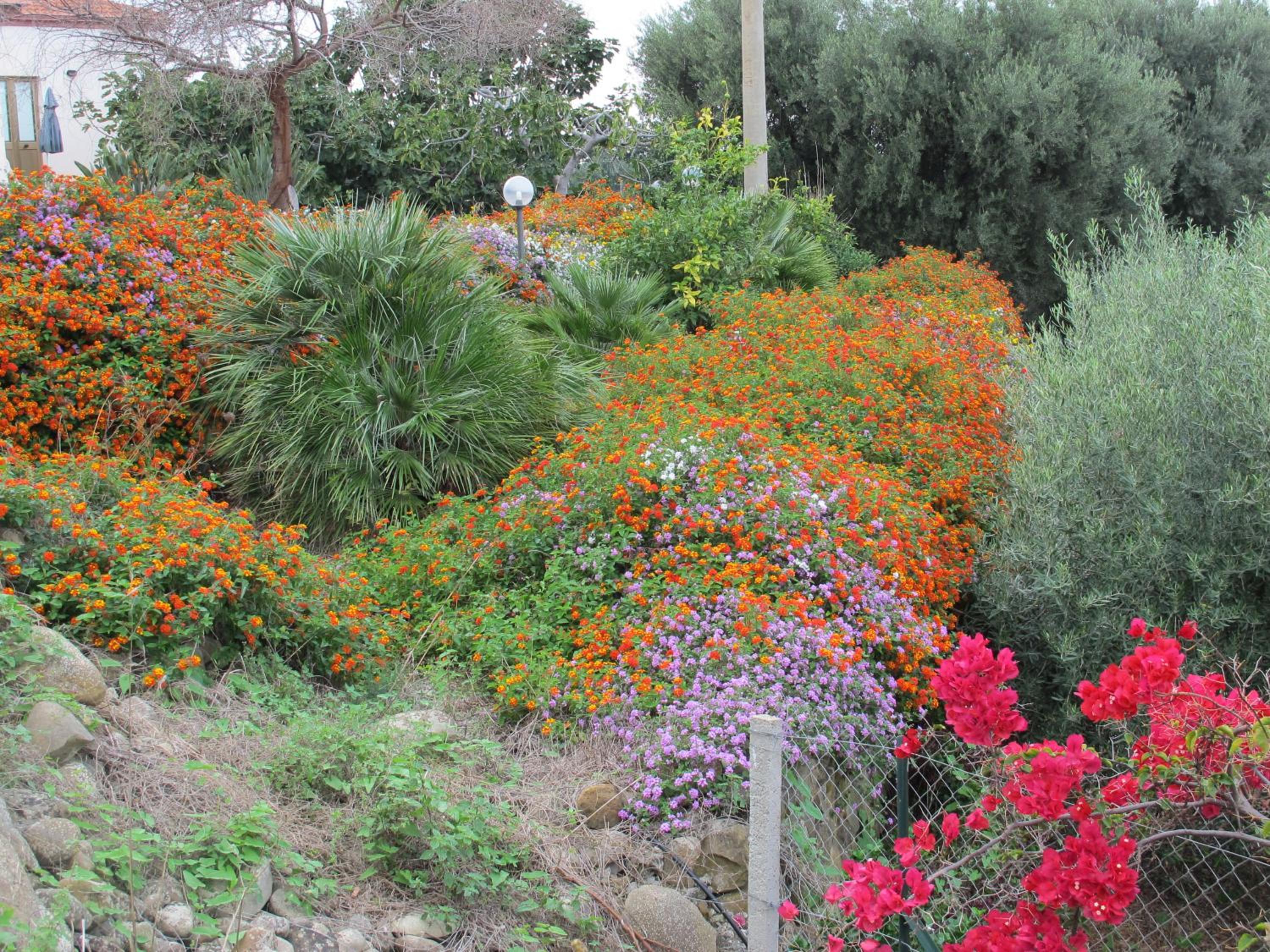 Photo 28