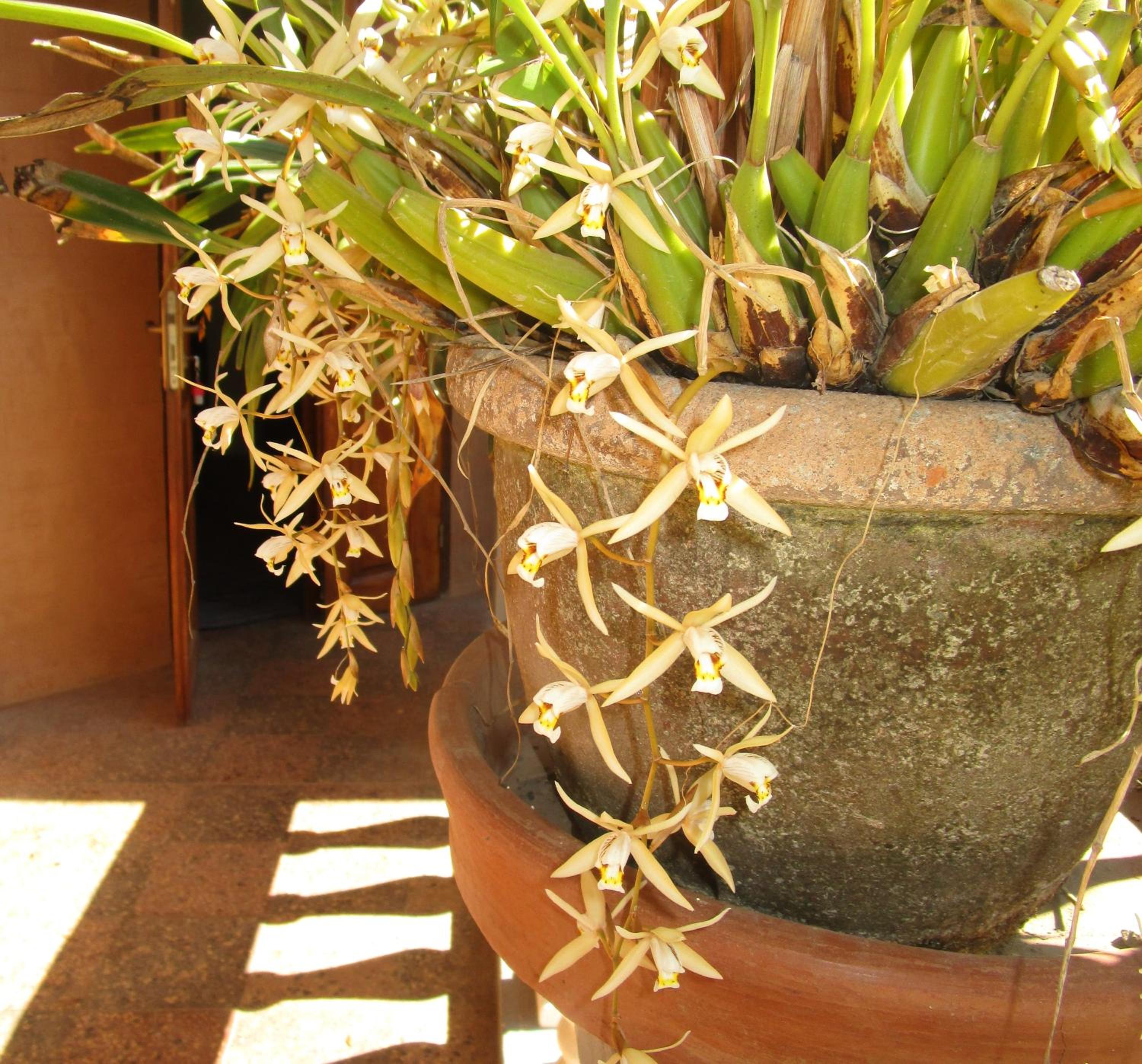 Meva Guesthouse
